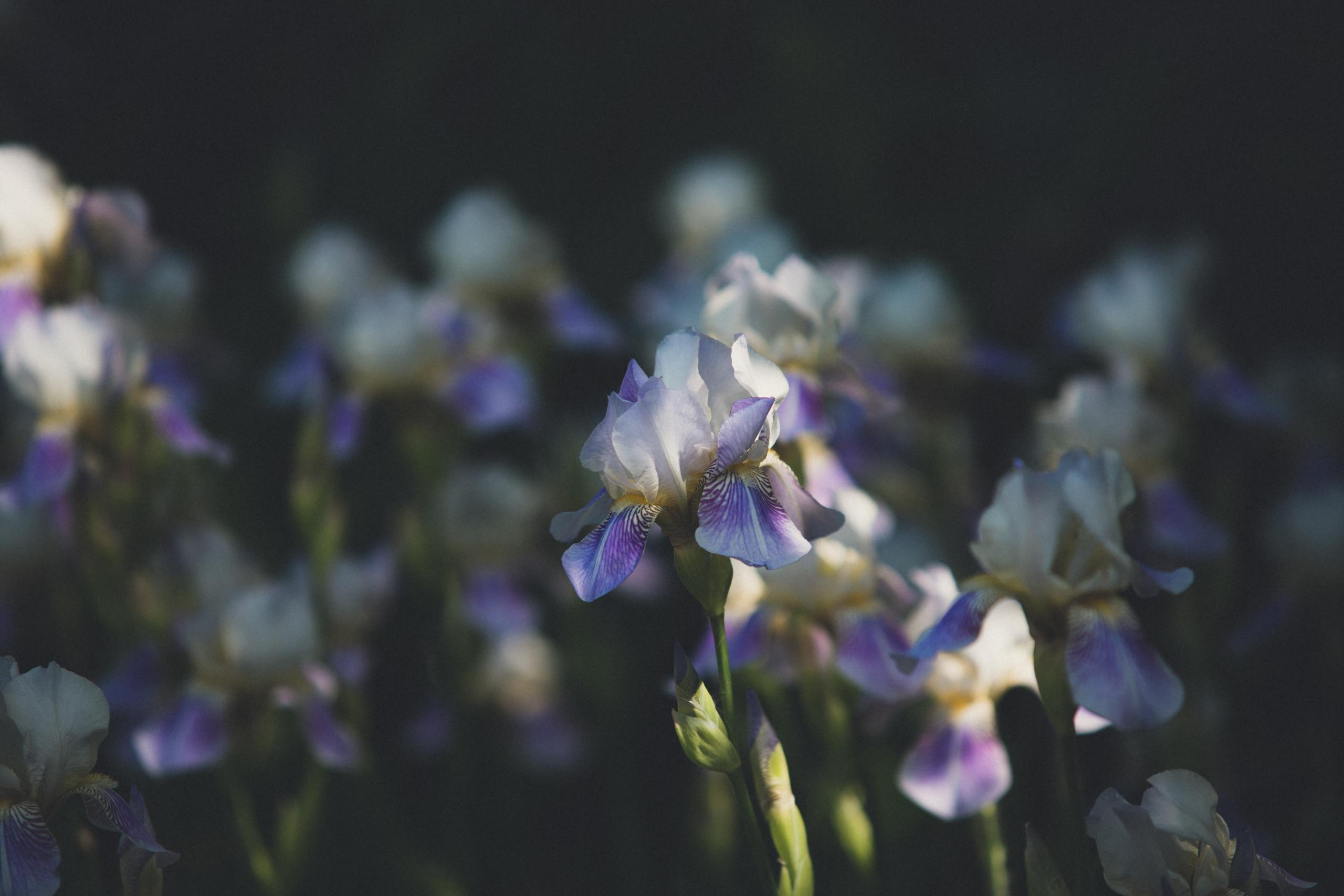 Зооботанический сад. Photographer Sonkina Tatiana (Tanya Ash)
