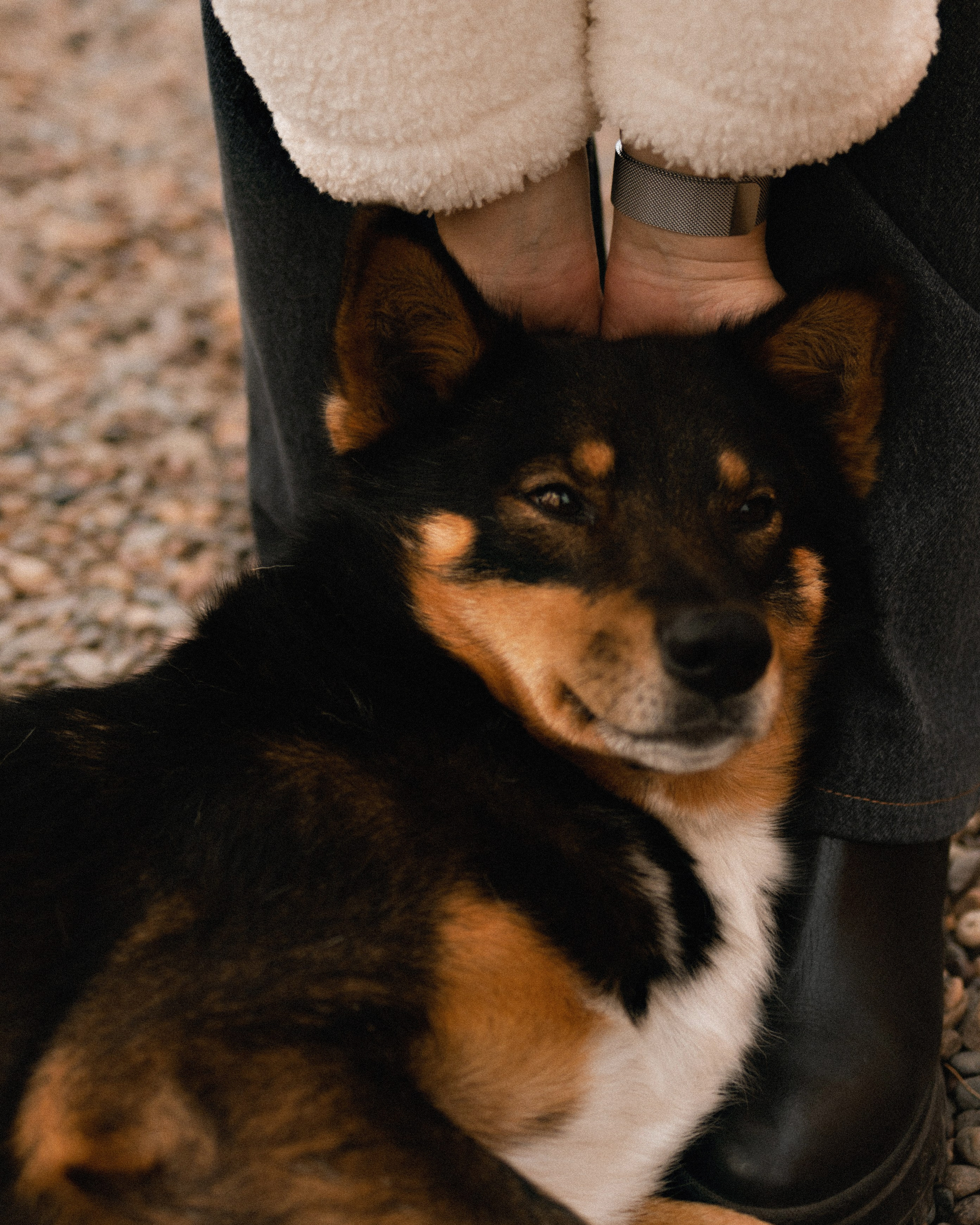 Софья. Фотограф в Красноярске Ксения Дмитрик