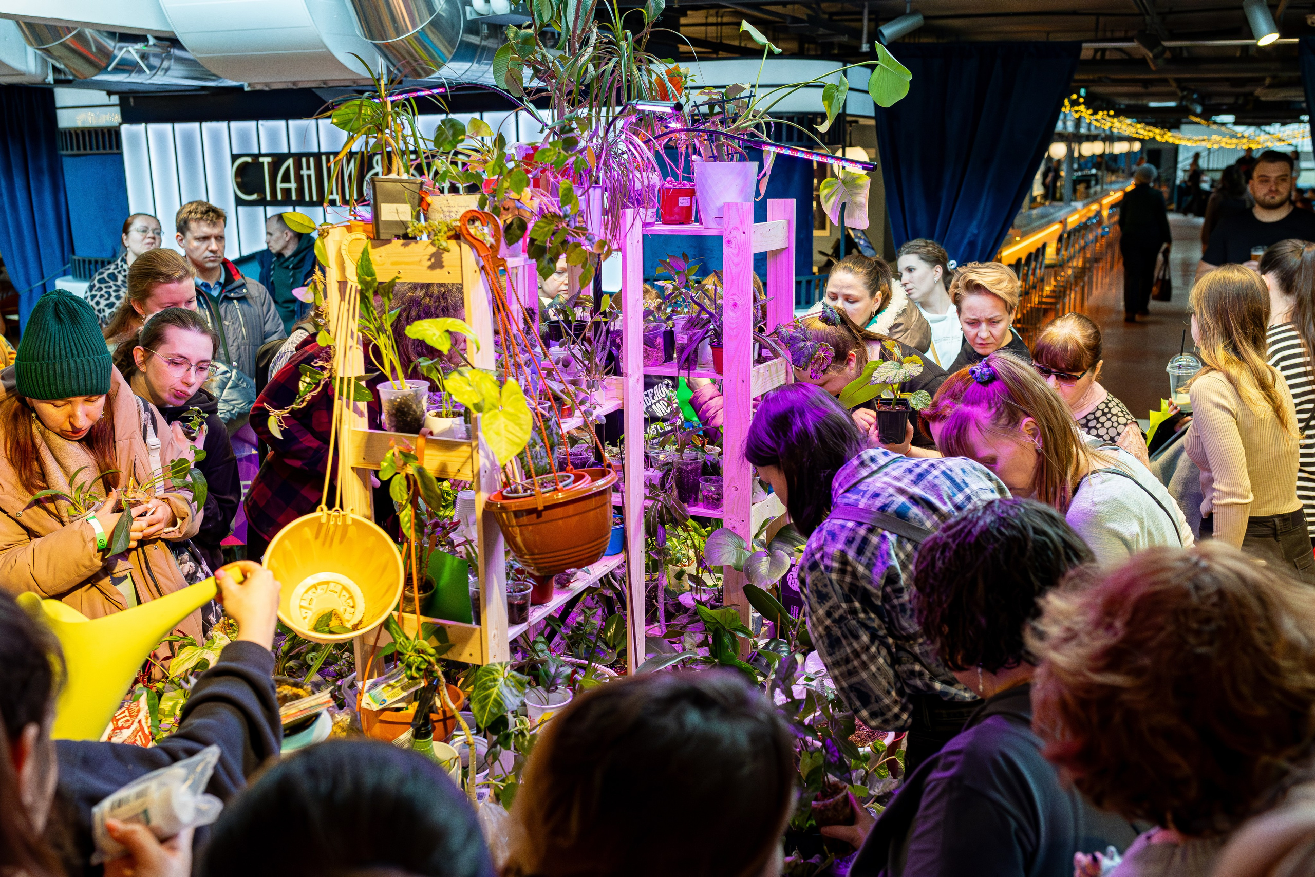 Growbox 1–2 марта. Александра Куликова фотограф, Москва