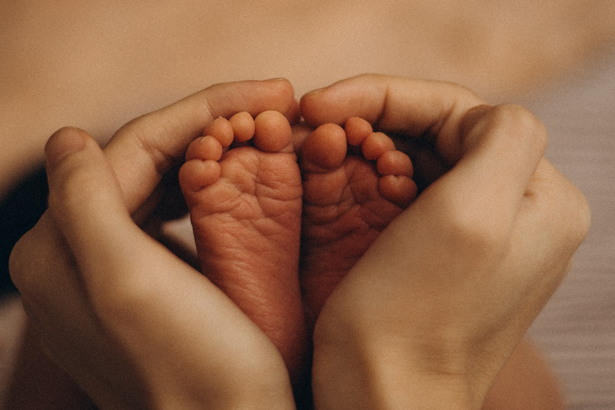 Лиза и Дарьяна. Семейный фотограф в Красноярске Екатерина Гайнутдинова