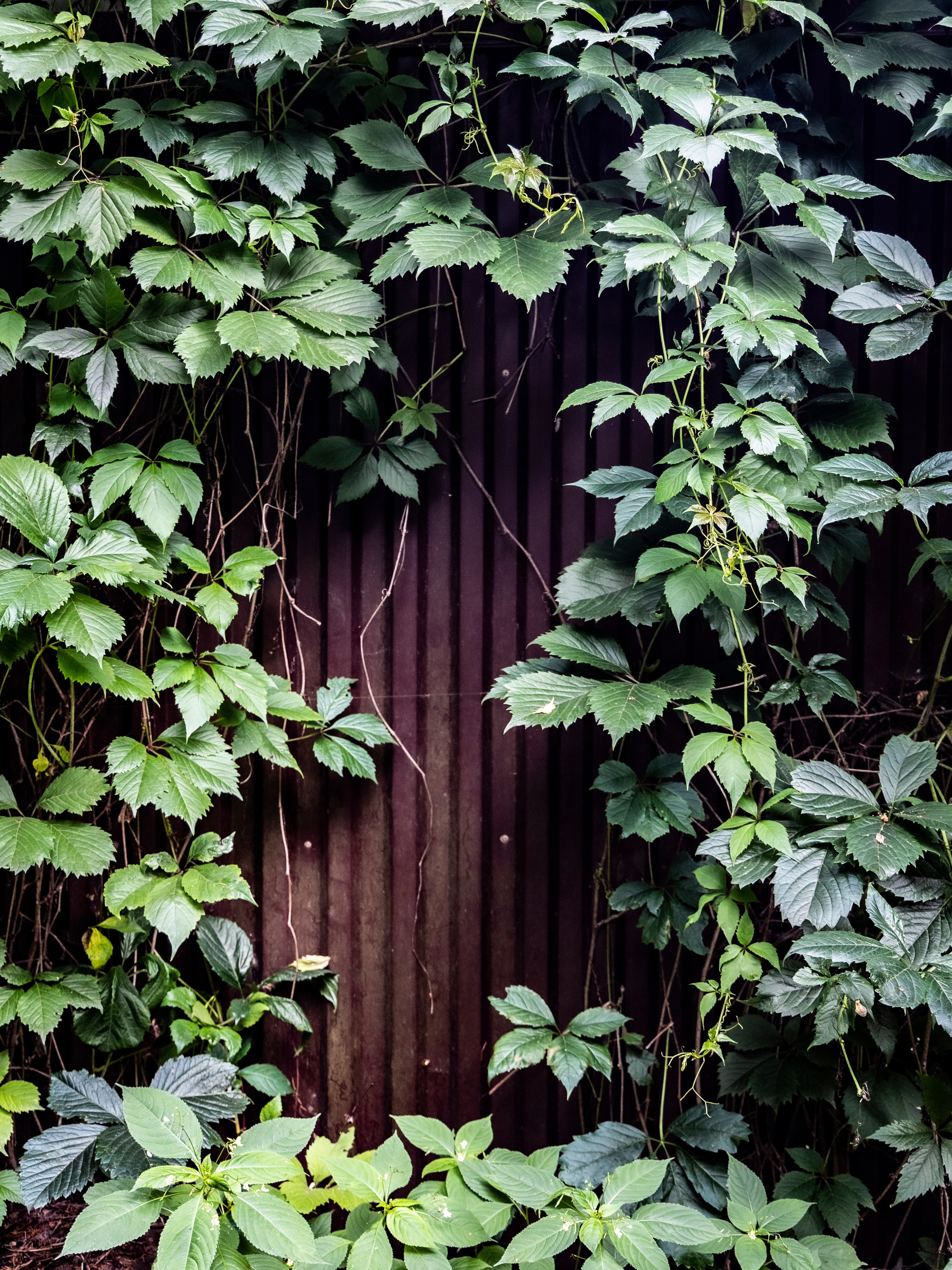Фотограф Татьяна Марсуверских г. Жуковский, Москва и Мо. Репортажные съёмки, фотосессии. Детский, семейный фотограф. Фотограф для маркетплейсов, фотоуслуги в Жуковском Татьяна Марсуверских