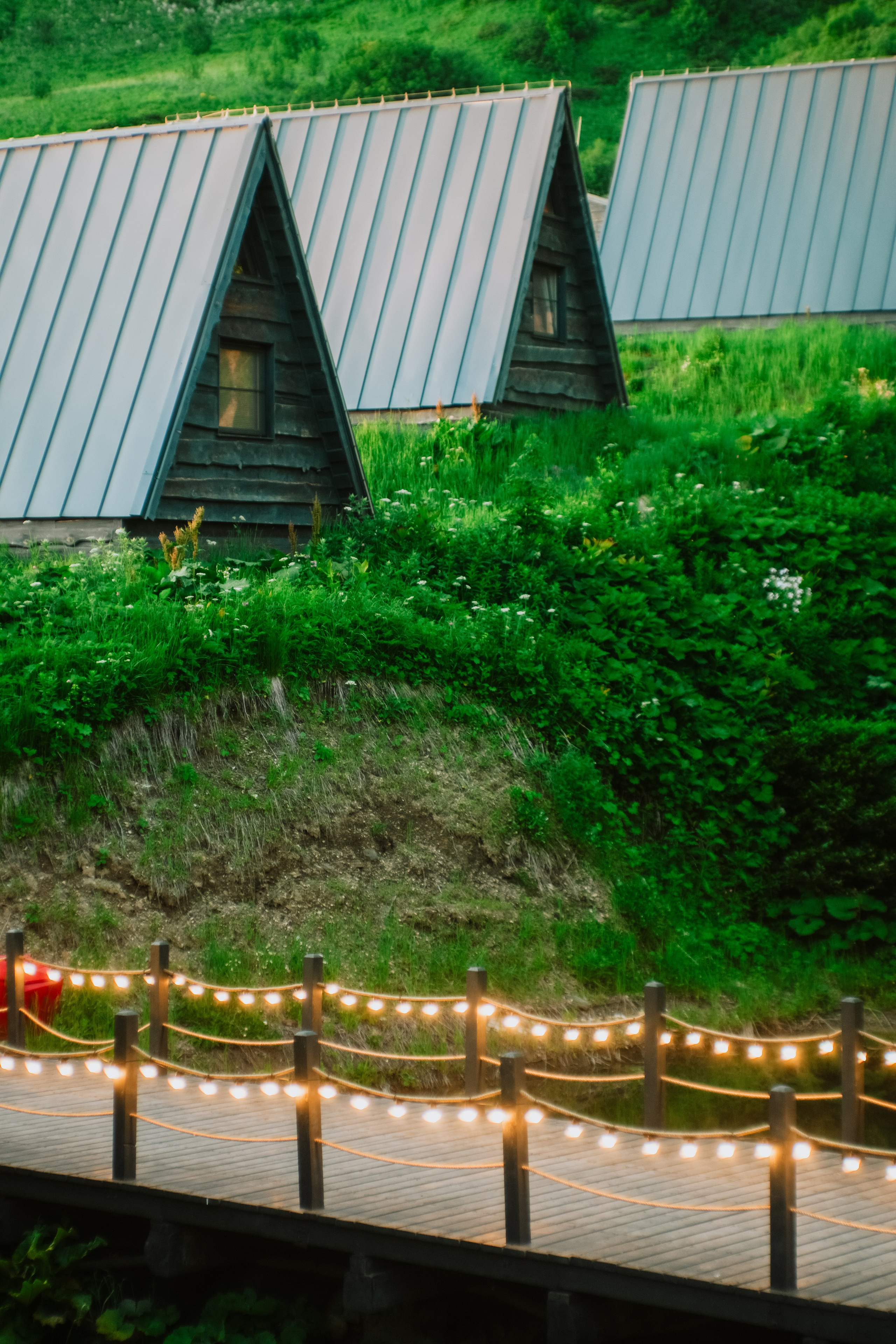 Нахазо ✽ Июль. Репортажный фотограф | Роза Хутор Красная Поляна Сочи Сириус