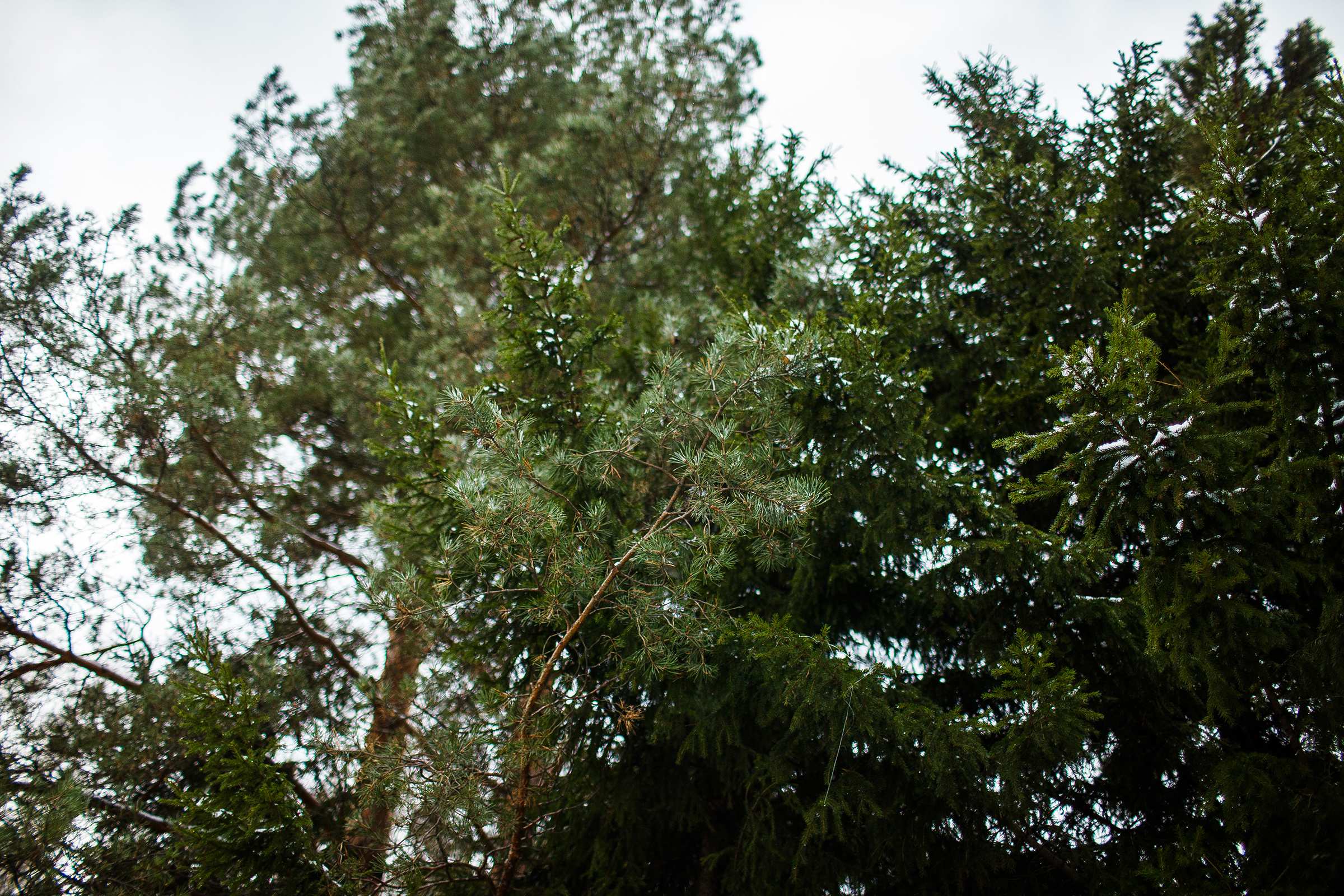 Иван и Зарина. Большая серия. Евгения Орлова