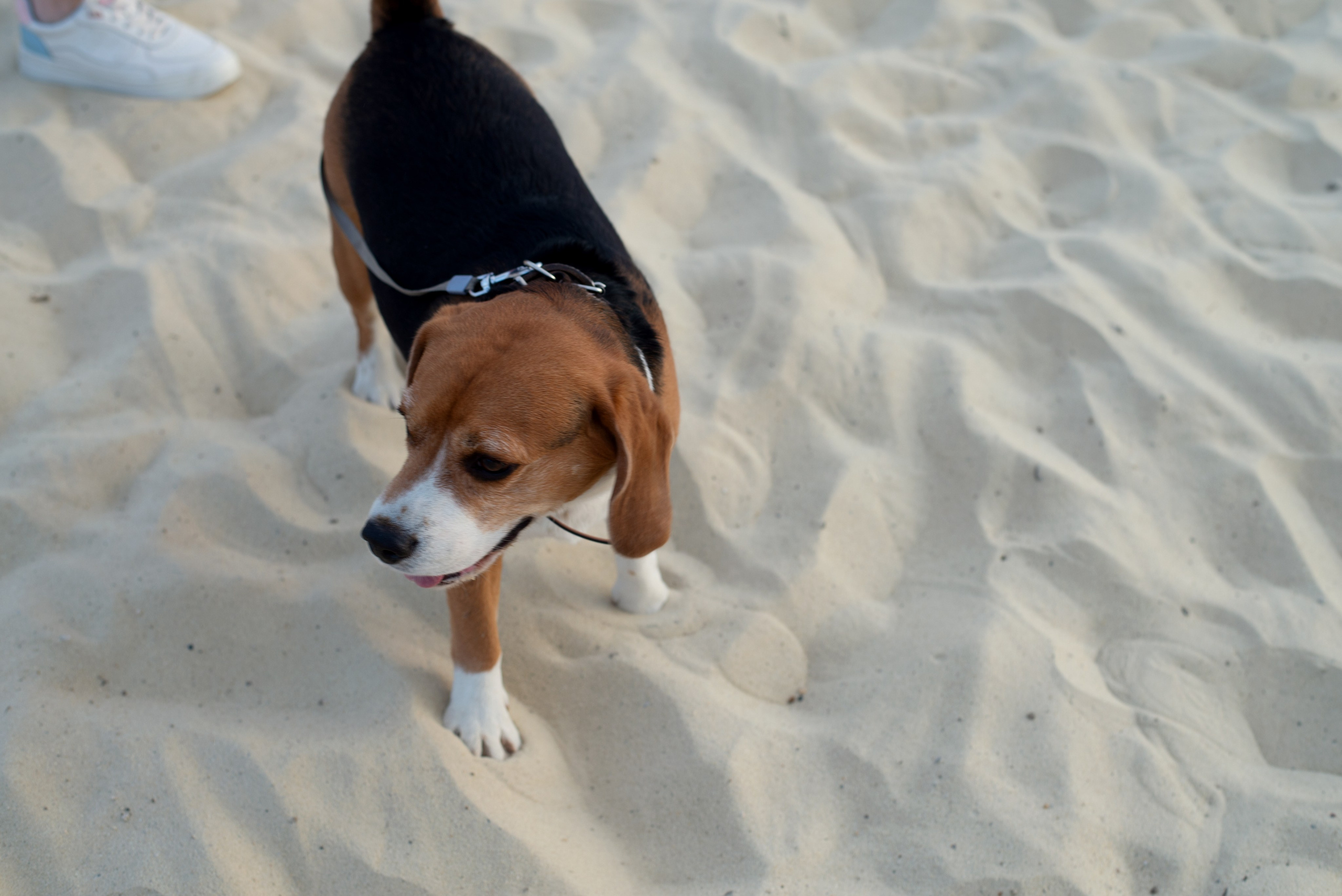 Семейный альбом. Дина — ваш фотограф в Коломне и Москве. Живые портреты, любимые люди, важные события. Всё, что хочется помнить