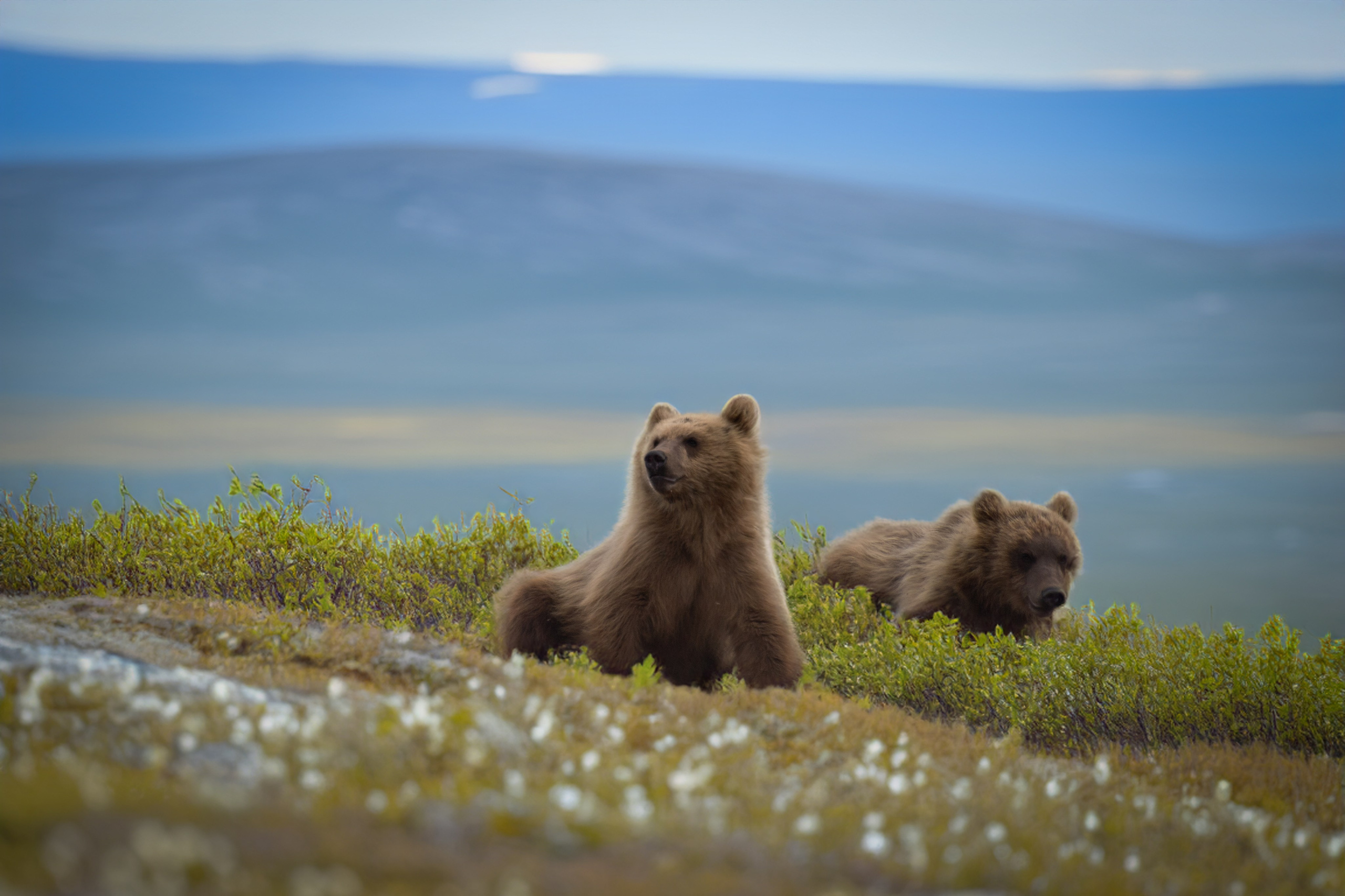 Камчатка. Фотограф в Санкт-Петербурге Вихтинский Николай