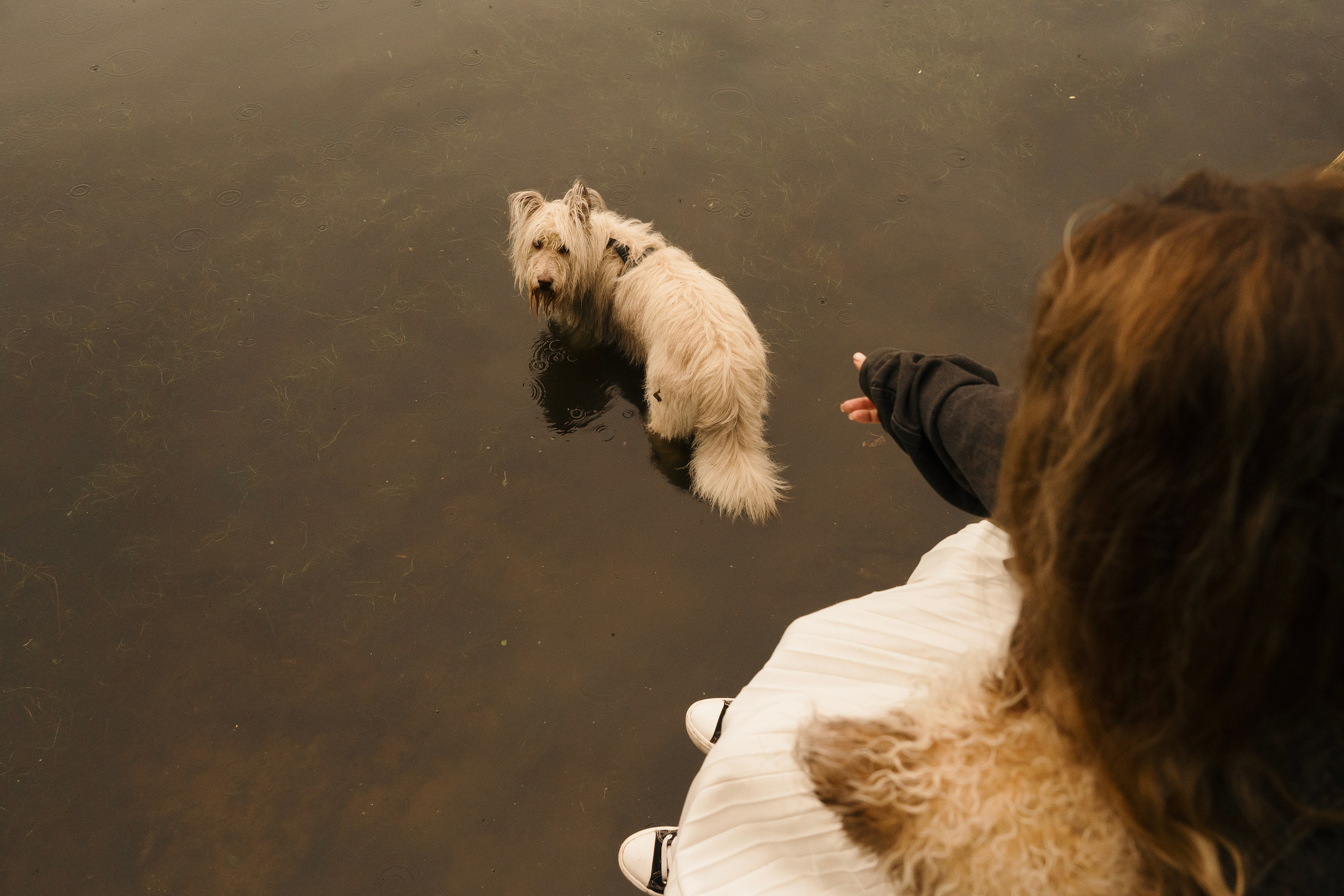 Акиро и Йоши. Фотограф- анималист Александра Матвеева
