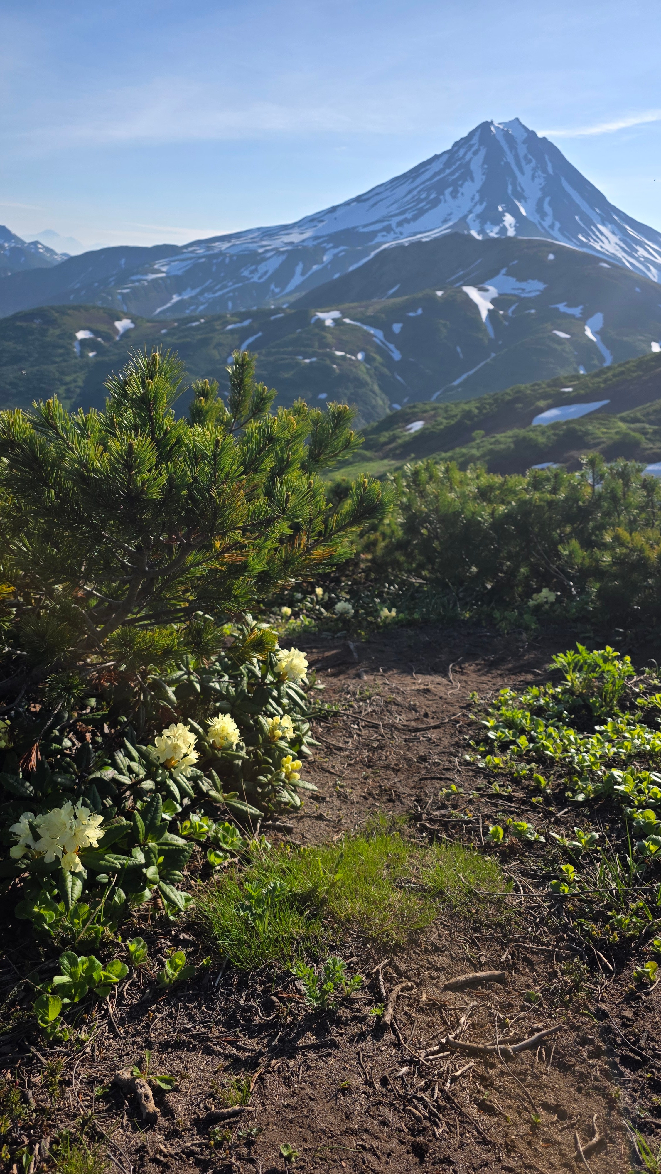 Дачные источники (Малая долина гейзеров) + водопад Снежный барс. Экскурсионные туры по Камчатке