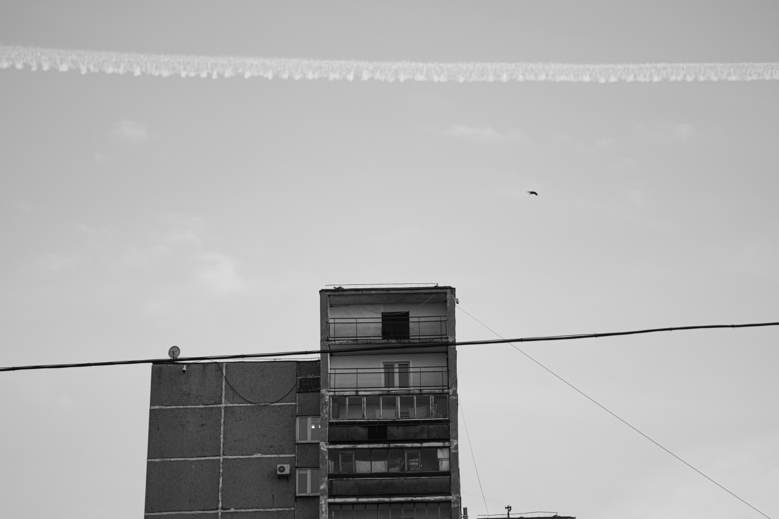 Разное неважное. Фотограф в Москве Алейникова Евгения