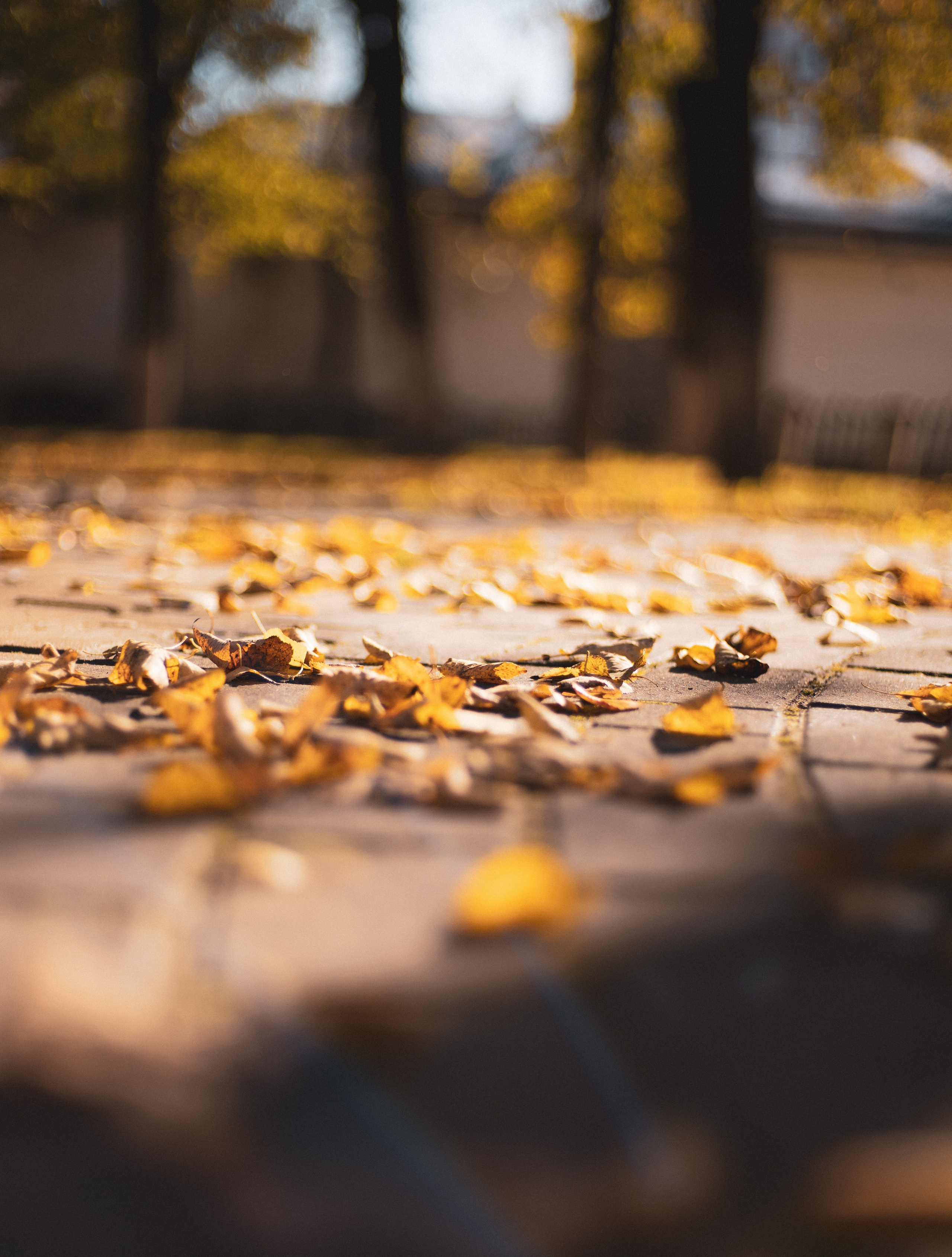 Уличные съемки. Tenny-Tiny Ph