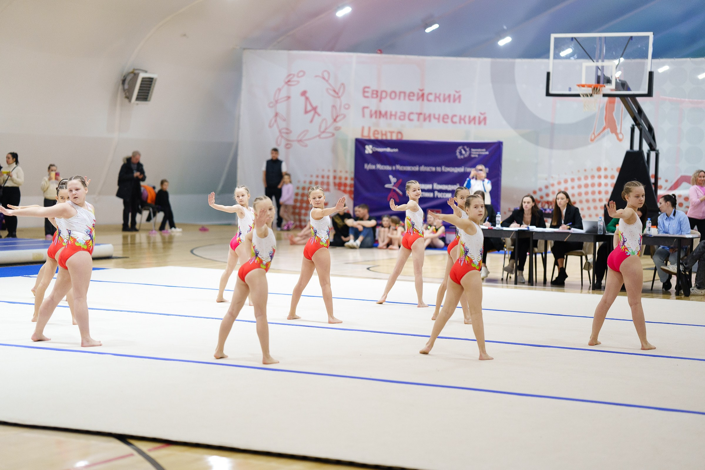 Гимнастика. Фотограф Москва