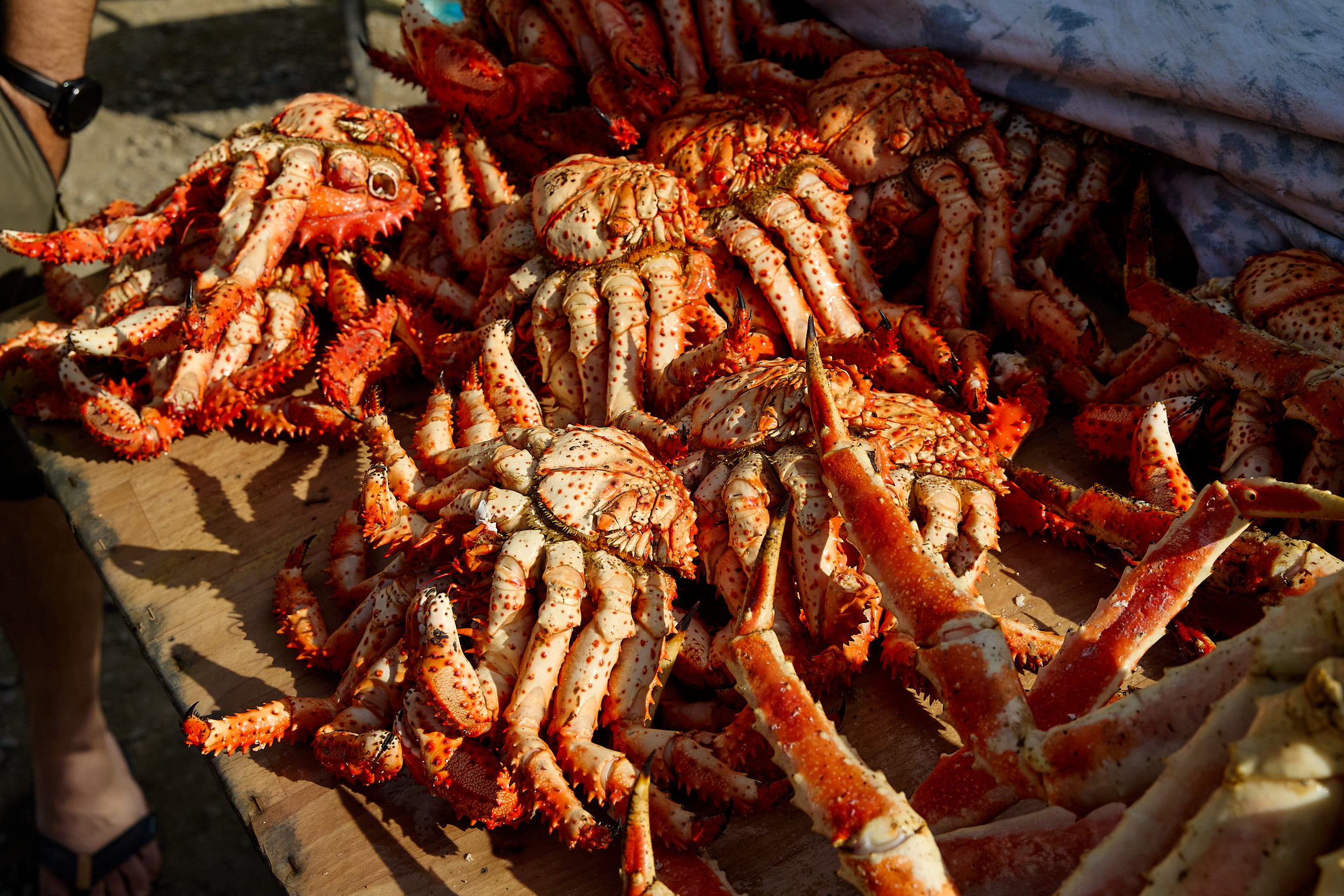 Фотограф репортаж Владивосток репортажная съёмка Приморский край фотосъёмка образование конференция форум