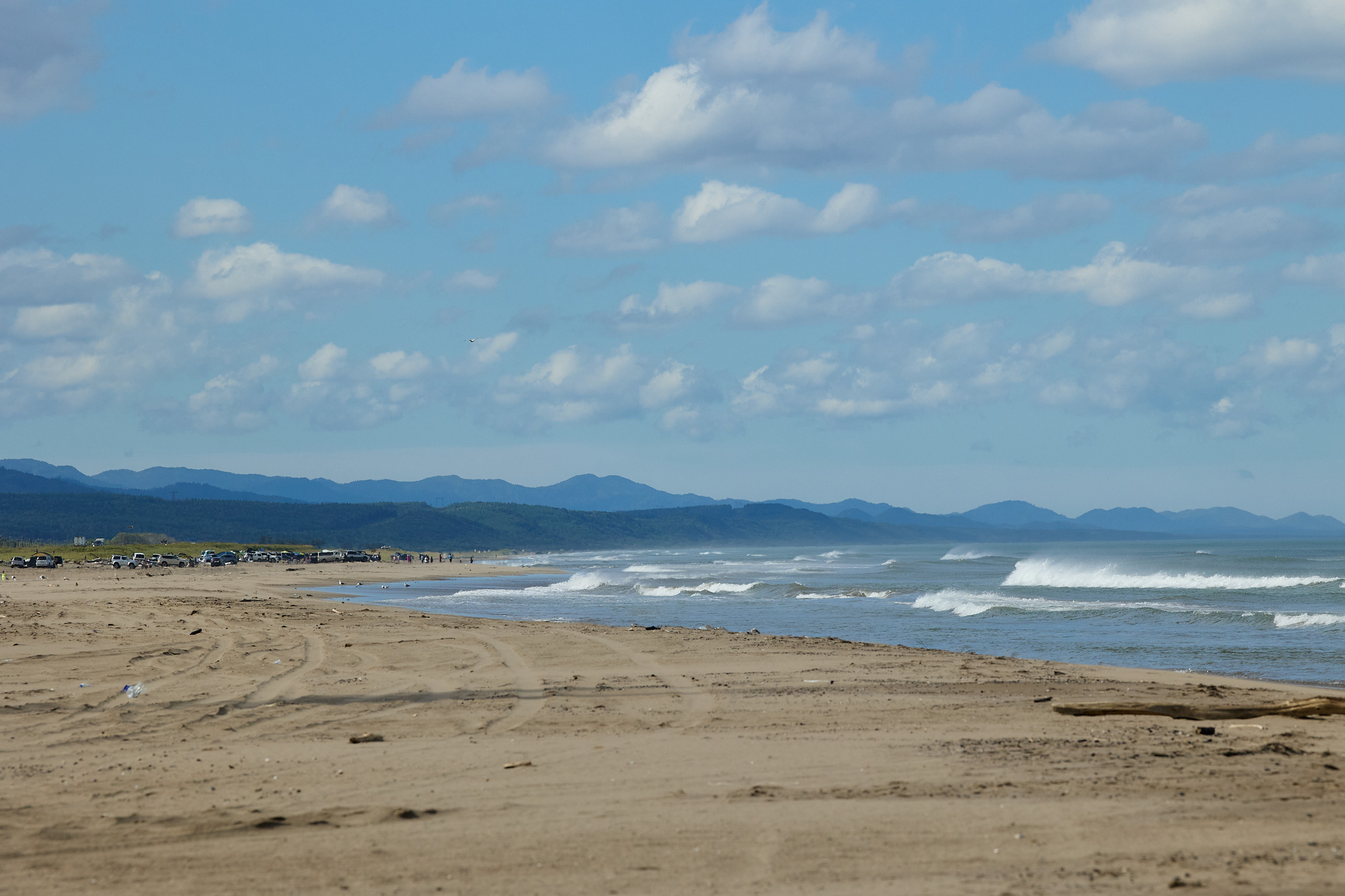 Фотограф репортаж Владивосток репортажная съёмка Приморский край фотосъёмка образование конференция форум