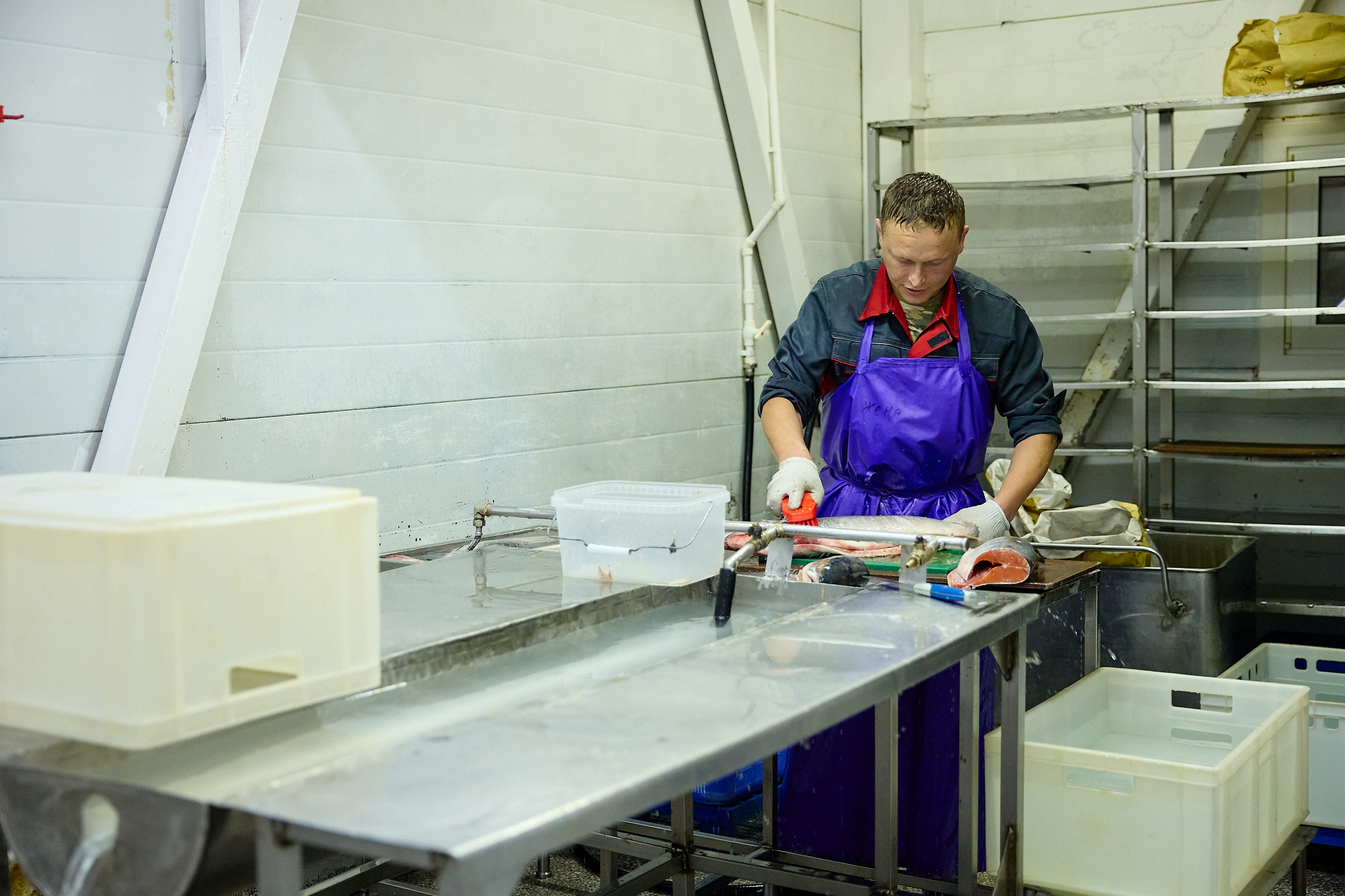 Фотограф репортаж Владивосток репортажная съёмка Приморский край фотосъёмка образование конференция форум