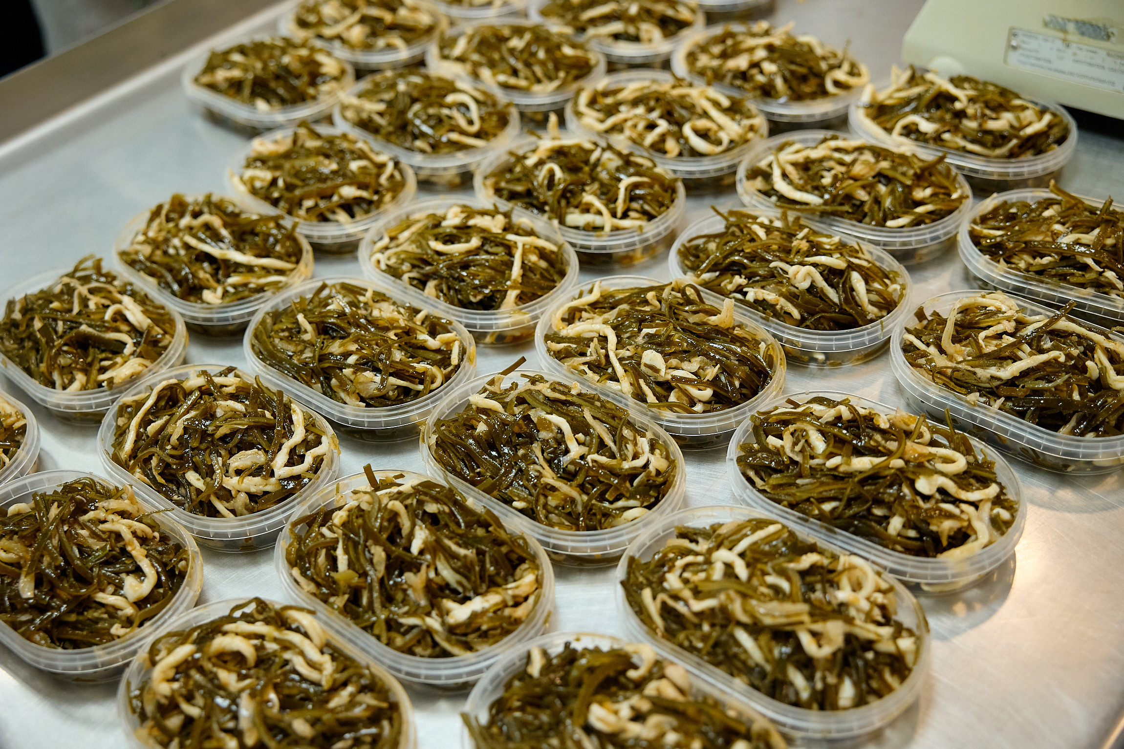 Фотограф репортаж Владивосток репортажная съёмка Приморский край фотосъёмка образование конференция форум