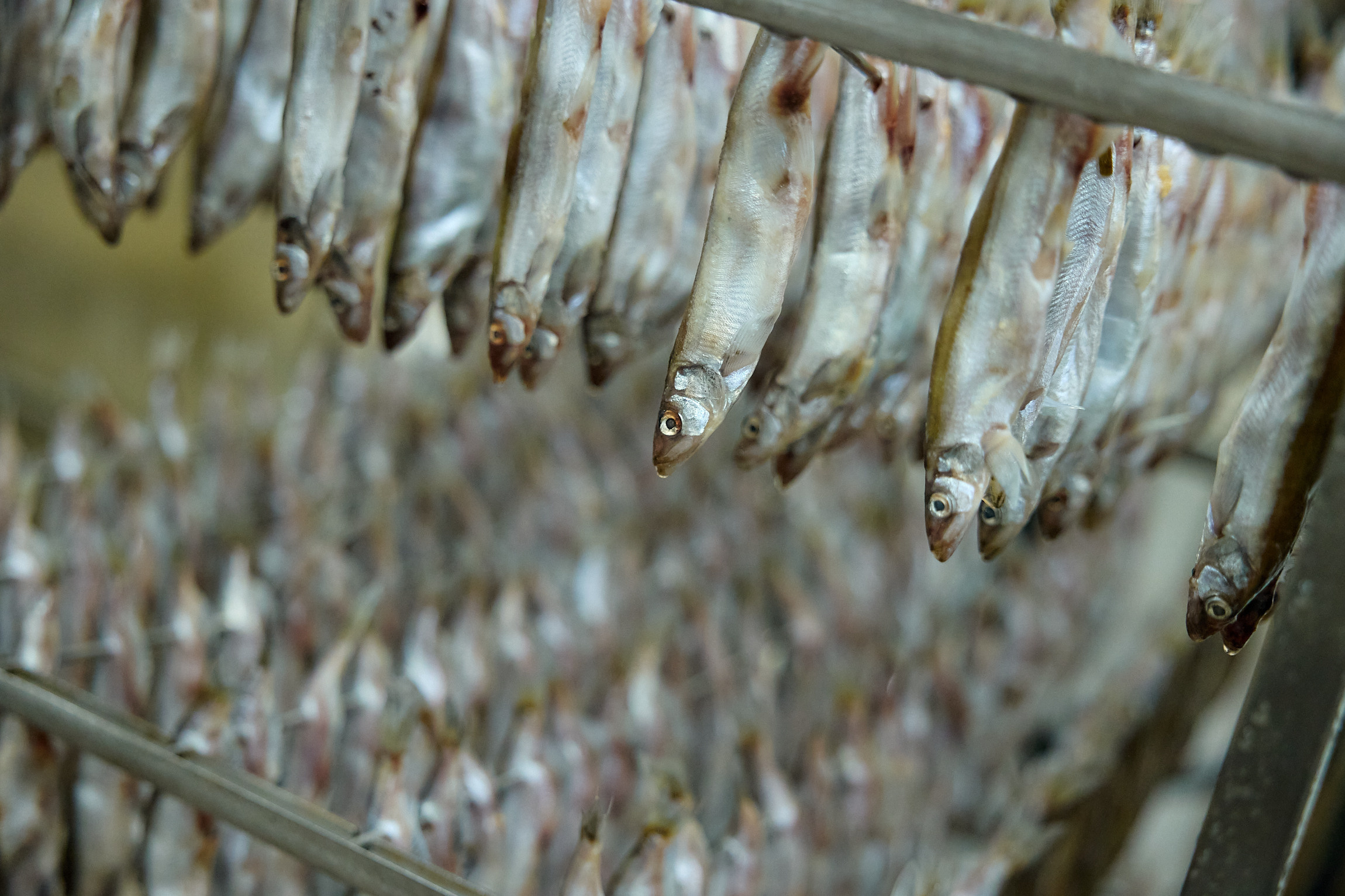 Фотограф репортаж Владивосток репортажная съёмка Приморский край фотосъёмка образование конференция форум