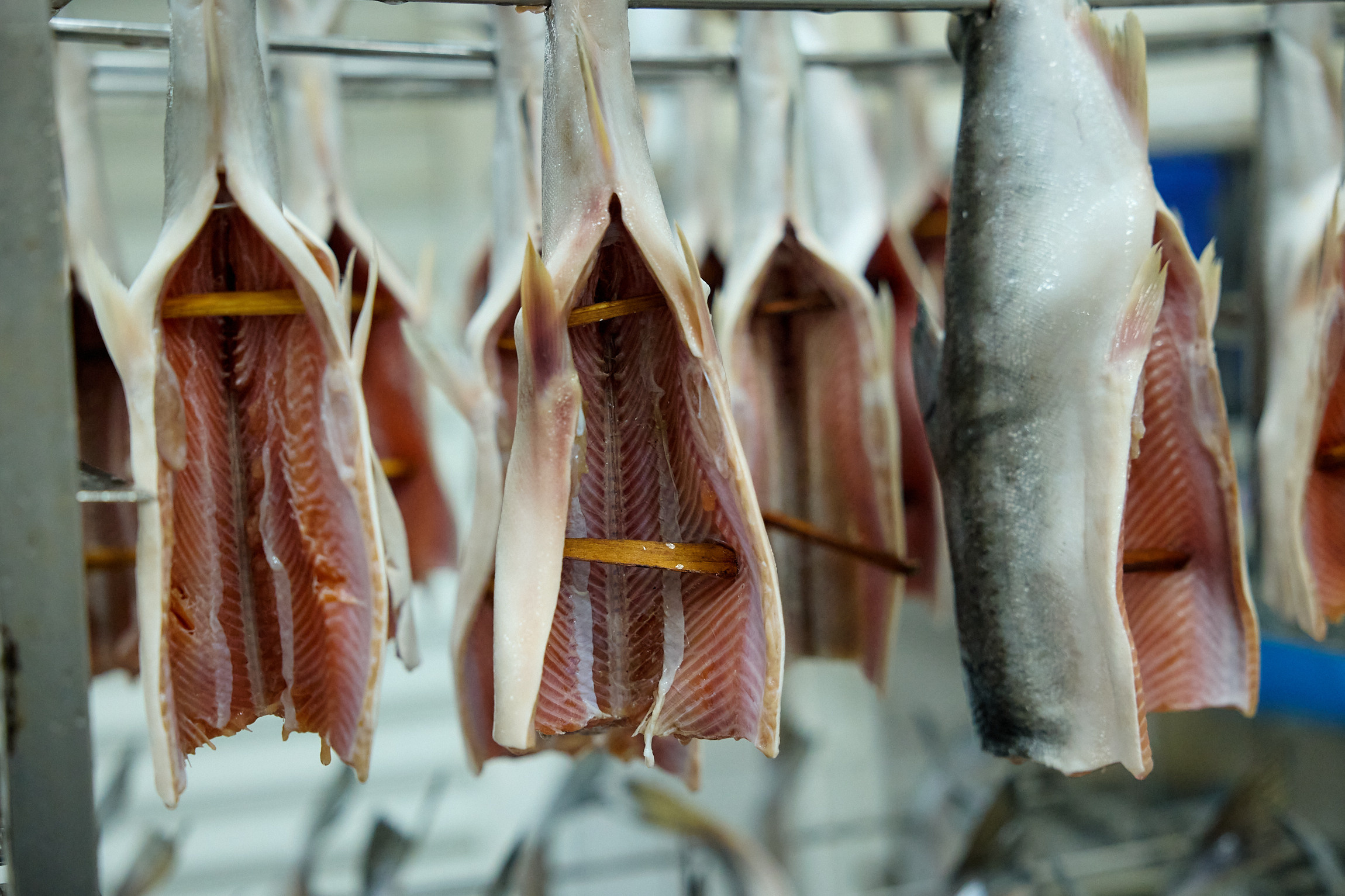 Фотограф репортаж Владивосток репортажная съёмка Приморский край фотосъёмка образование конференция форум