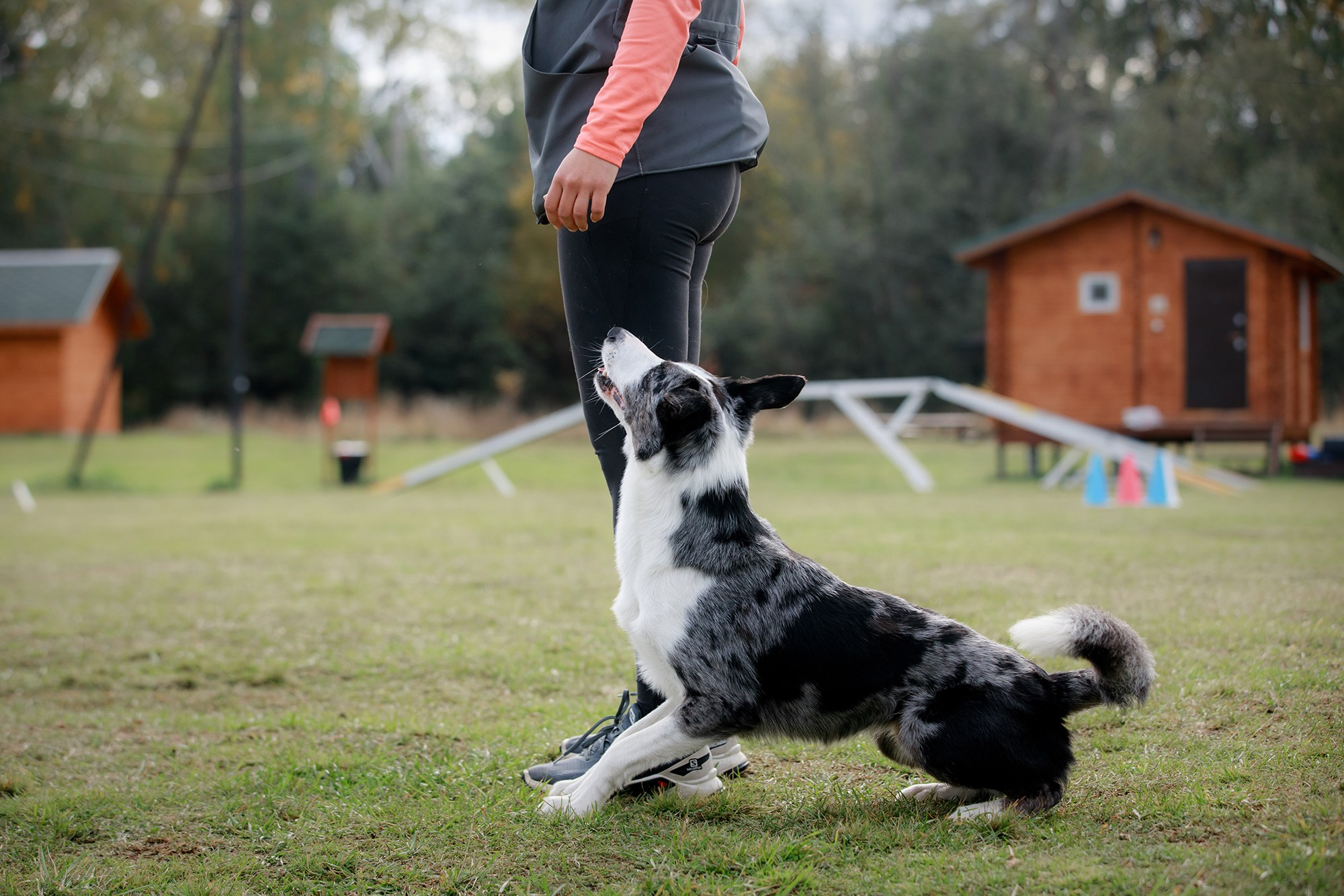 Лагерь по ОБД с Инной Баженовой. Фотограф-анималист Mary Mart — Москва, Питер