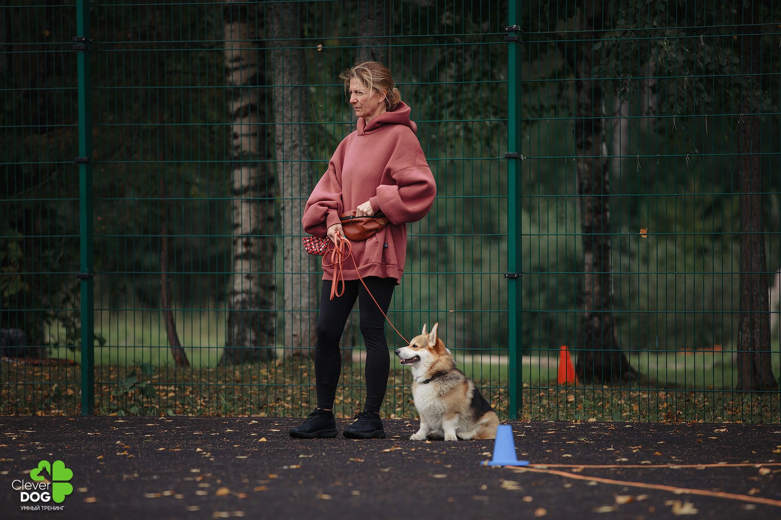 Кинологический лагерь CleverDog, 2024. Фотограф-анималист Mary Mart — Москва, Питер