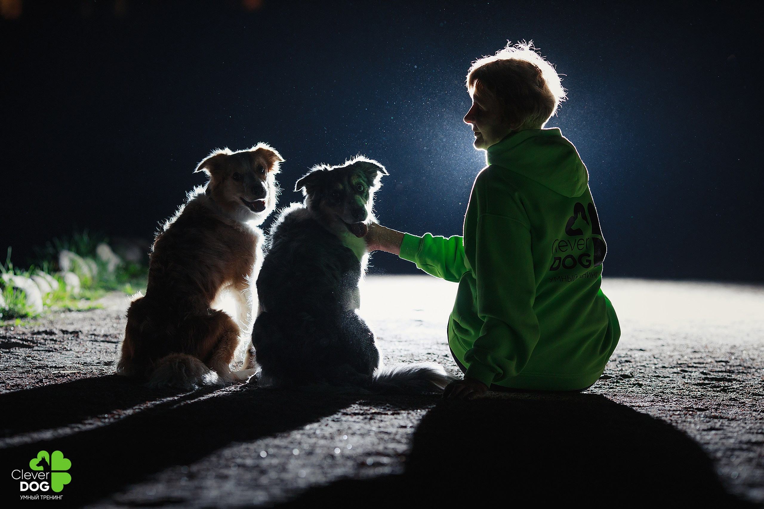 Кинологический лагерь CleverDog, 2024. Фотограф-анималист Mary Mart — Москва, Питер