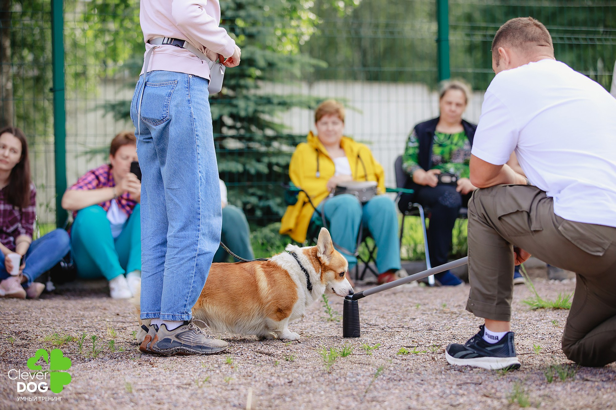 Семинар по поиску запаха с Иваном Ломовым, организатор CleverDog, СПб. Фотограф-анималист Mary Mart — Москва, Питер