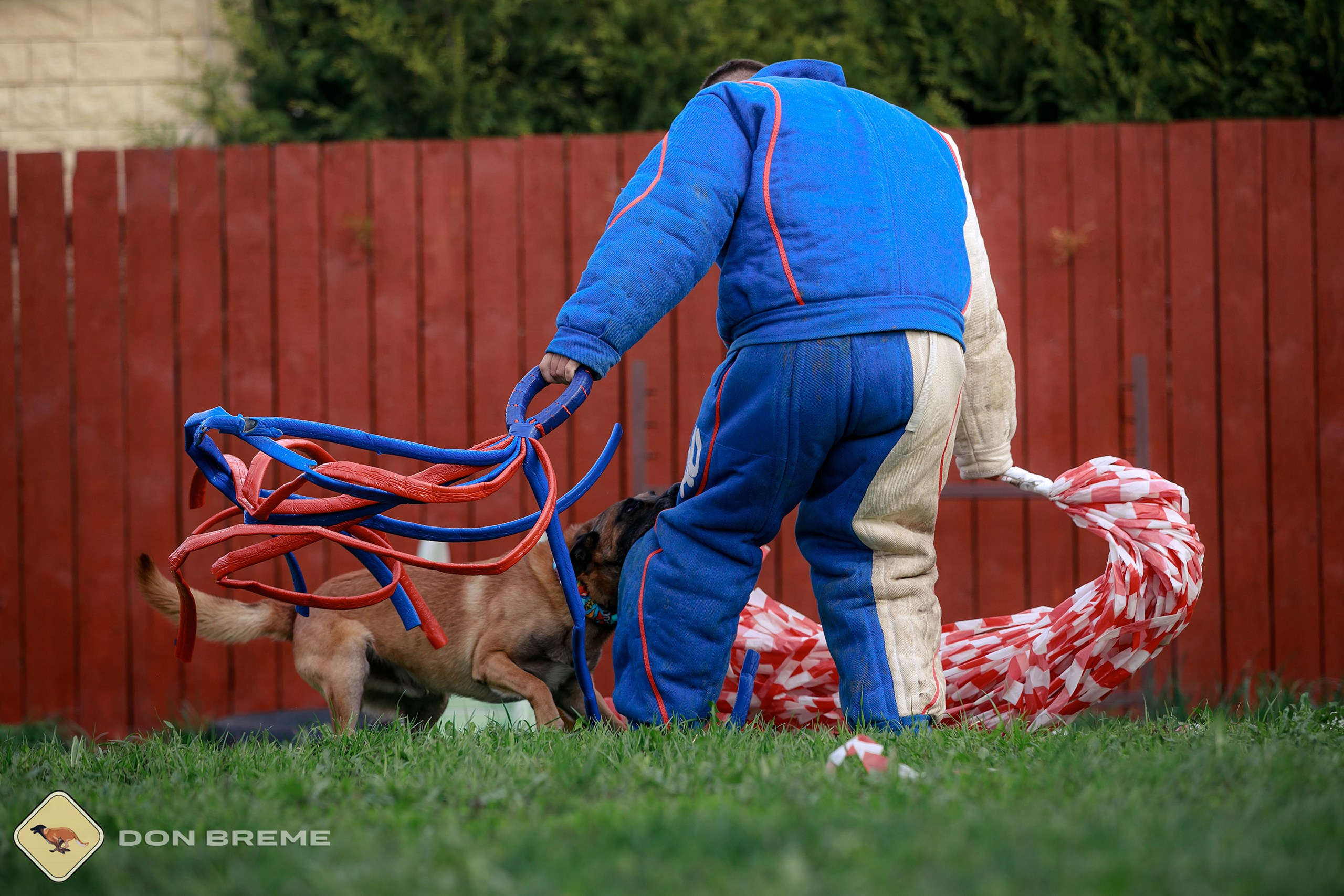Семинар для фигурантов, день 2. Фотограф-анималист Mary Mart — Москва, Питер