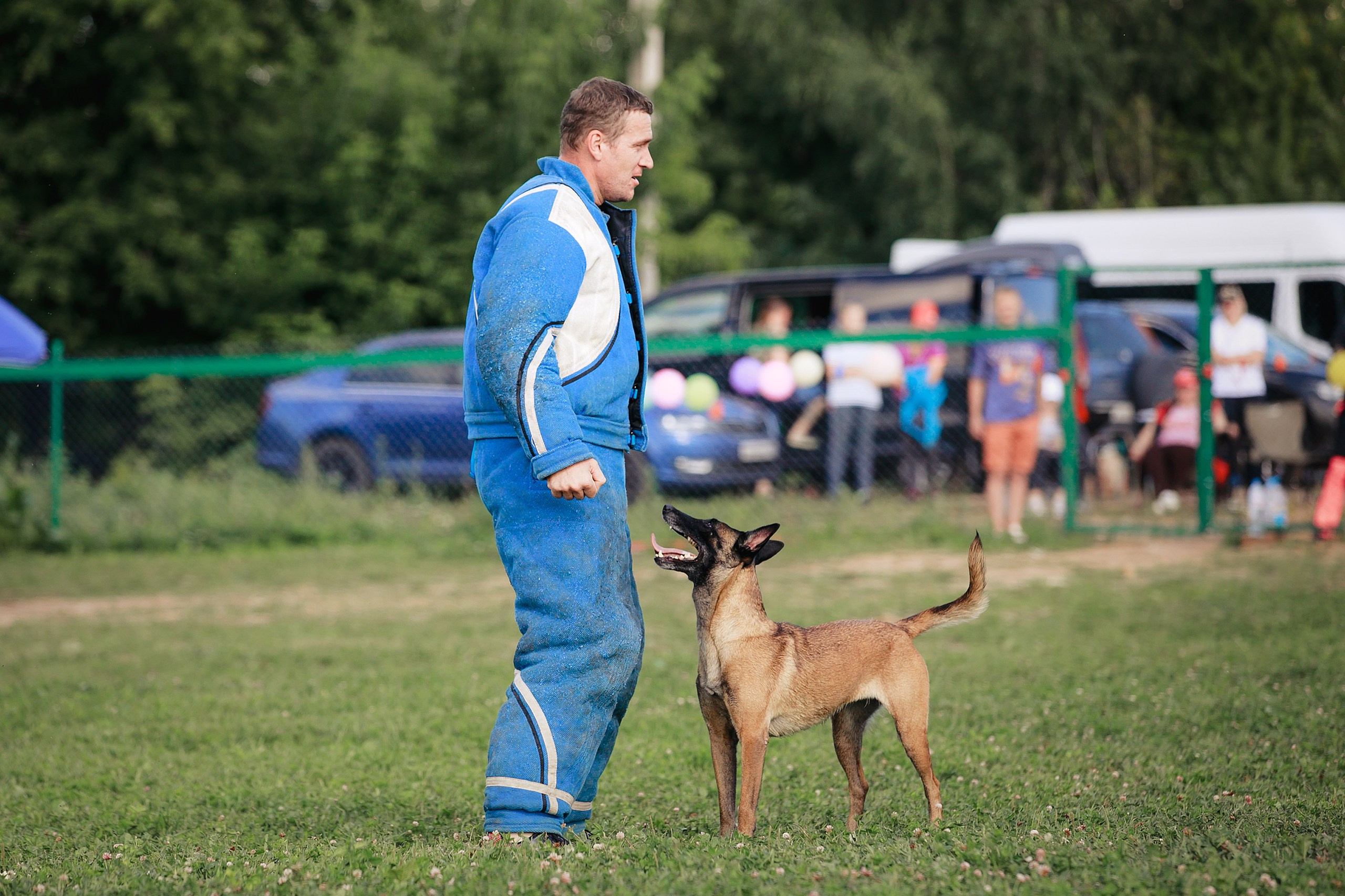 Мондьоринг М1, М2, М3, Вологда. Фотограф-анималист Mary Mart — Москва, Питер