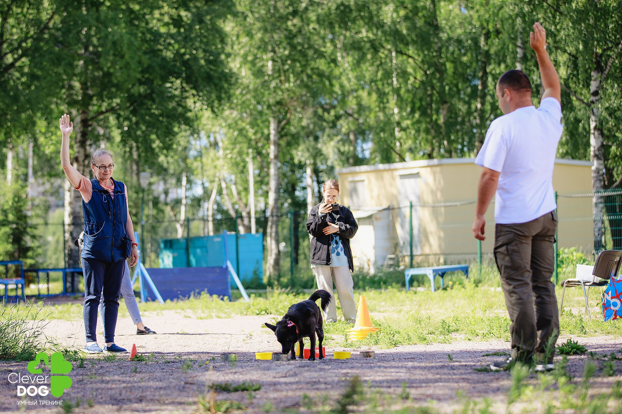 Семинар по поиску запаха с Иваном Ломовым, организатор CleverDog, СПб. Фотограф-анималист Mary Mart — Москва, Питер