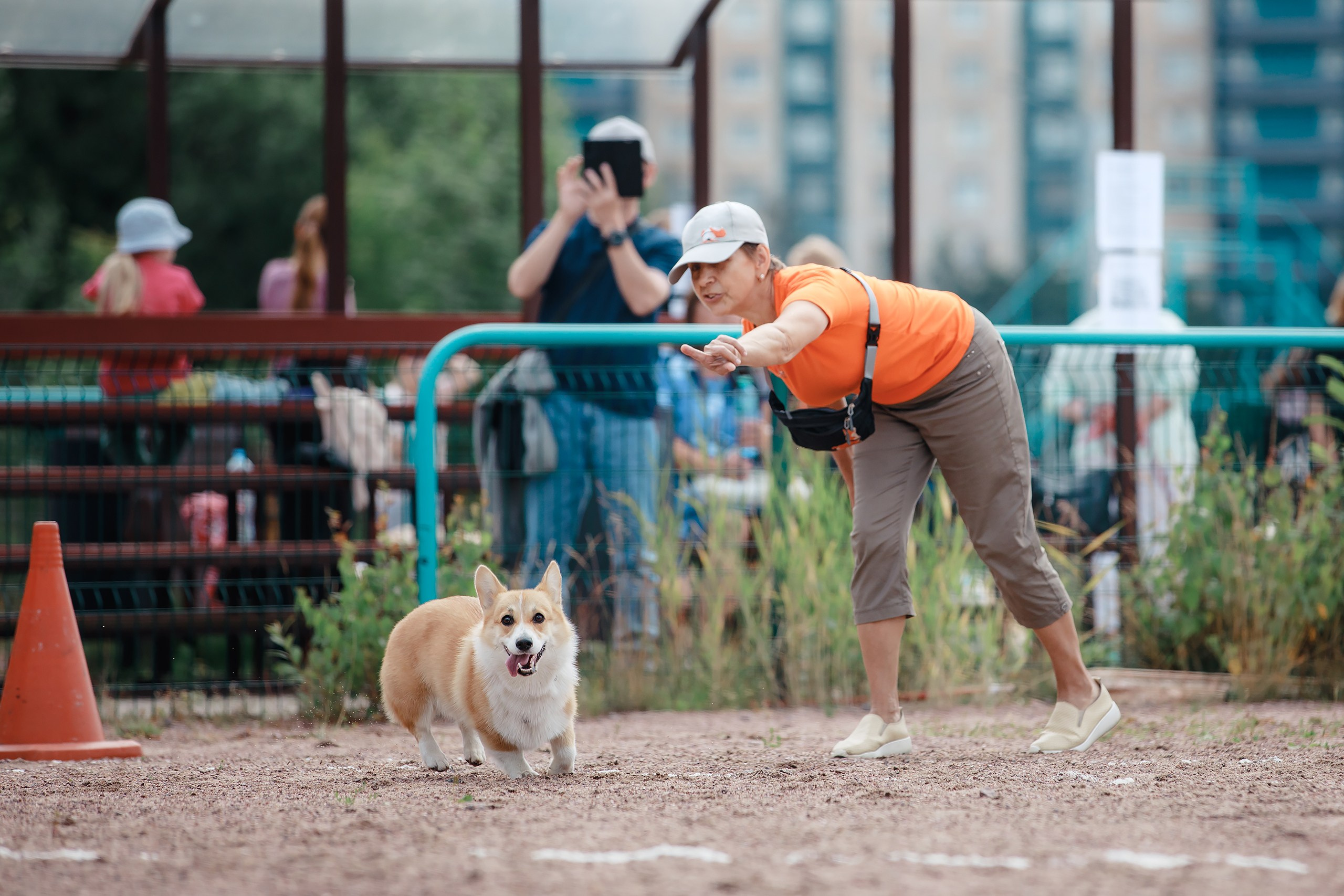 Питч&Гоу + веселые старты. Фотограф-анималист Mary Mart — Москва, Питер