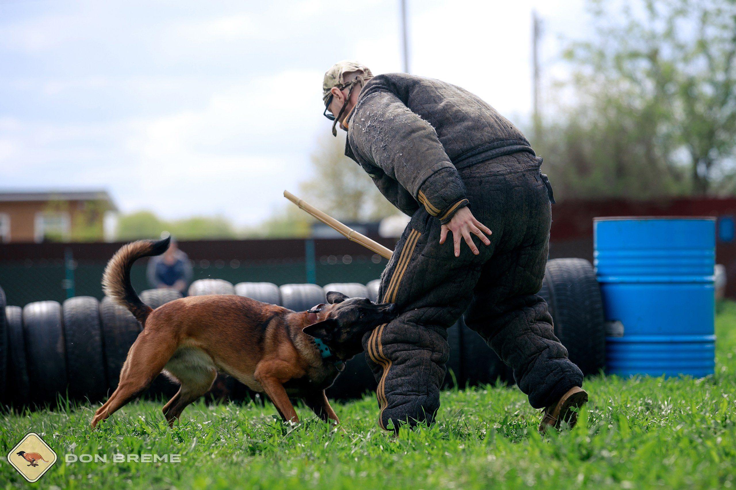Семинар для фигурантов, день 2. Фотограф-анималист Mary Mart — Москва, Питер