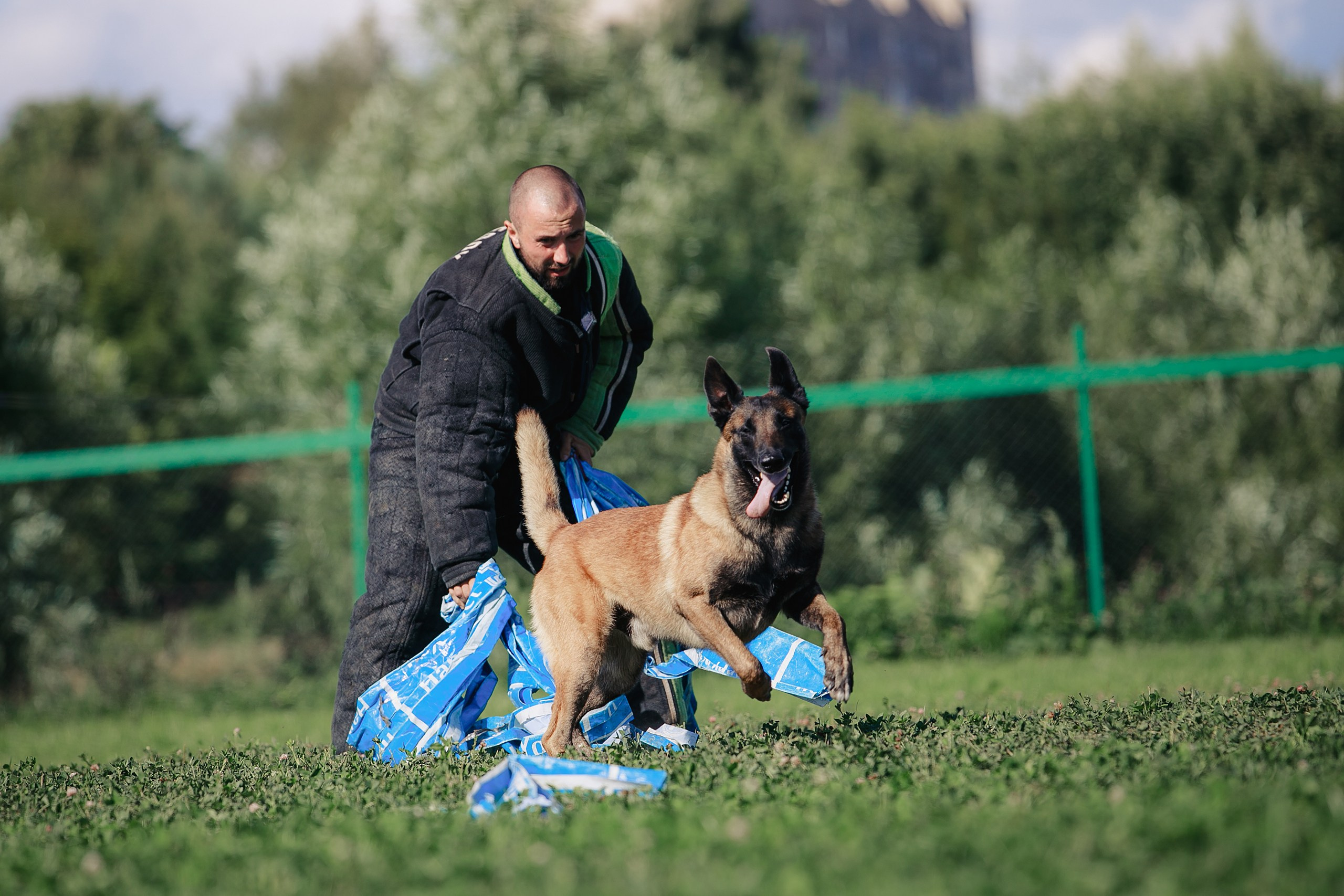Мондьоринг М1, М2, М3, Вологда. Фотограф-анималист Mary Mart — Москва, Питер