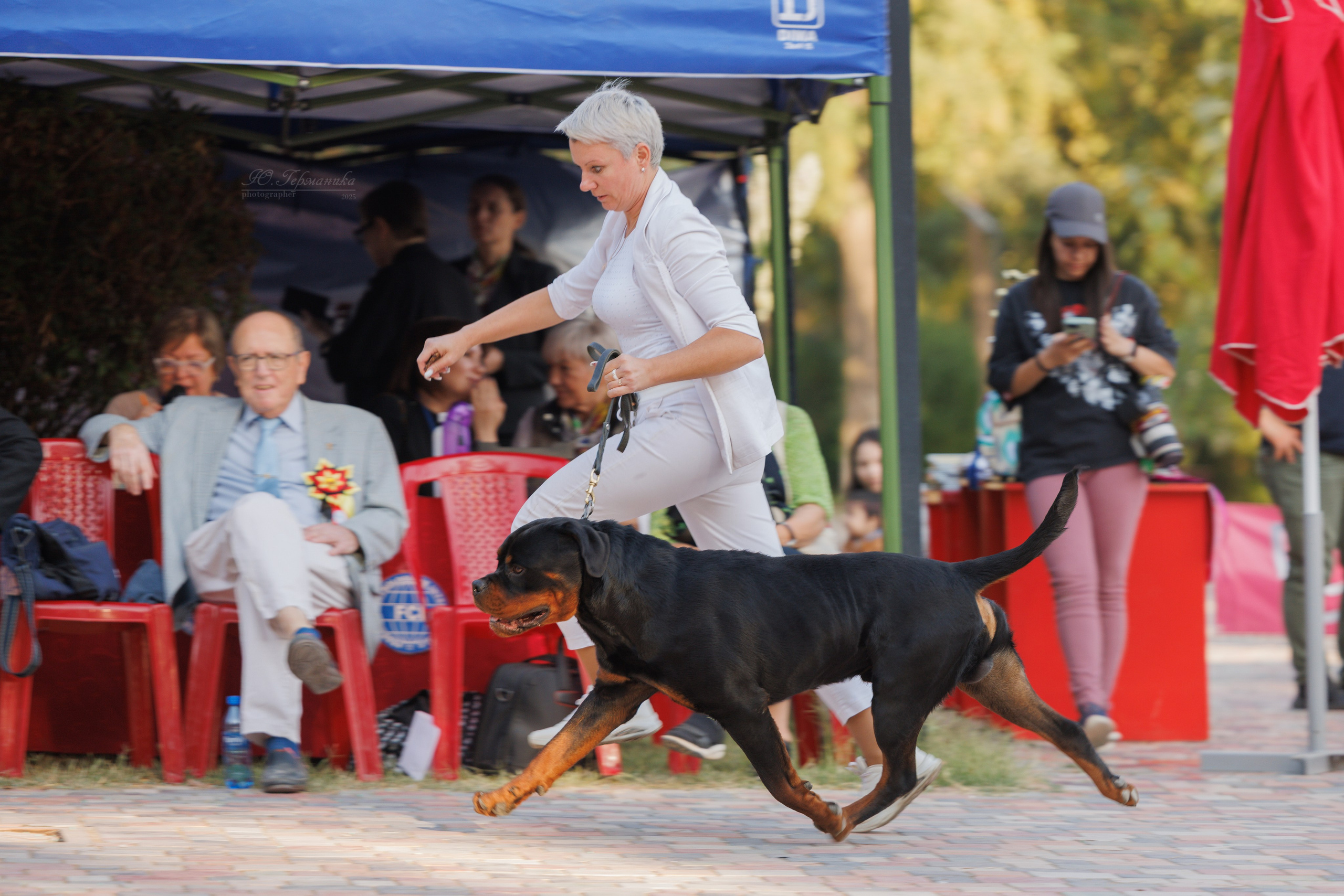 Ташкент 3хCACIB 3-5.10.2025. Фотограф-анималист Юлия Германика