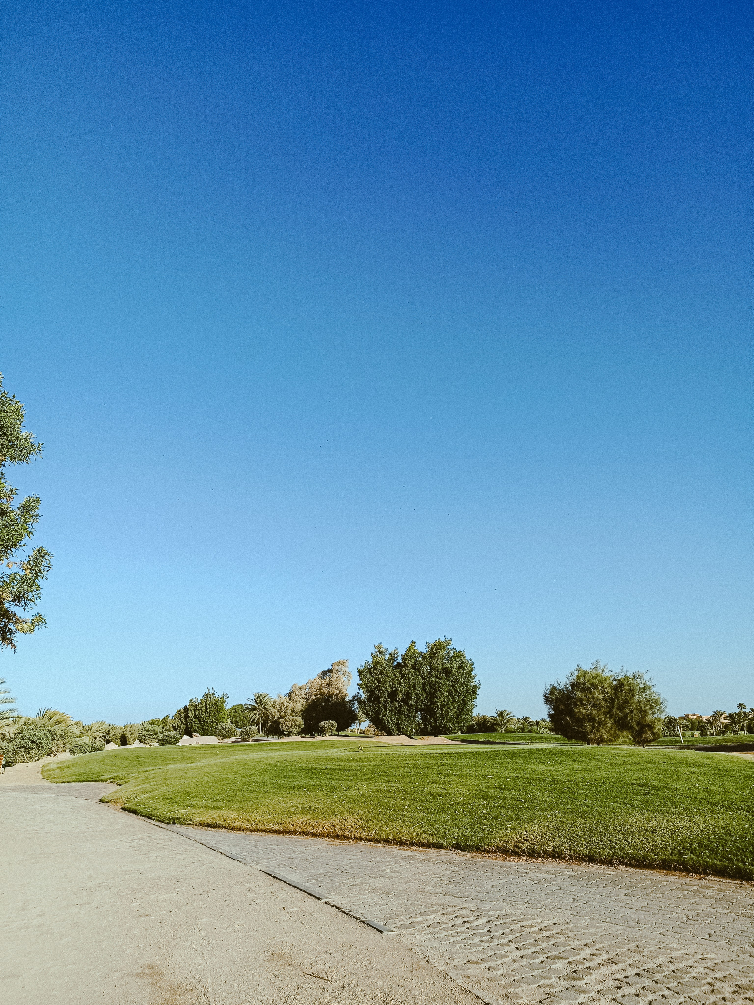 Мобильная. Jorgis — фотограф в Хургаде / обучение фотографии