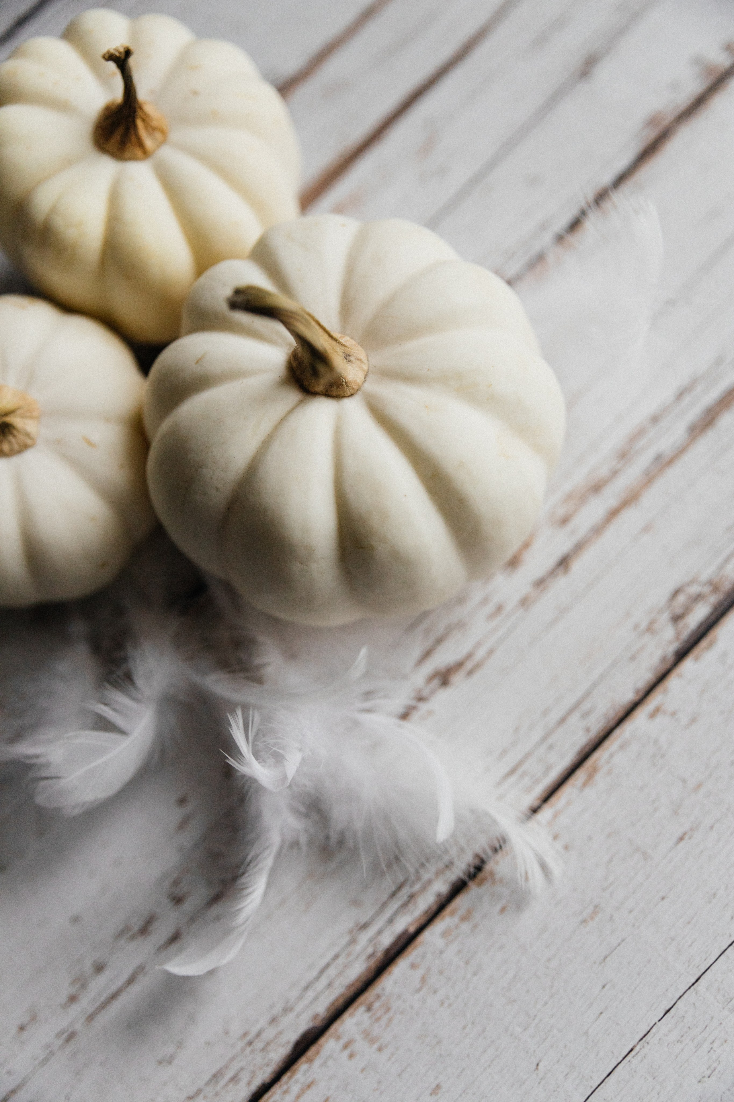 Тыквы. Свадебный и портретный фотограф в Новокузнецке Екатерина Авдеева