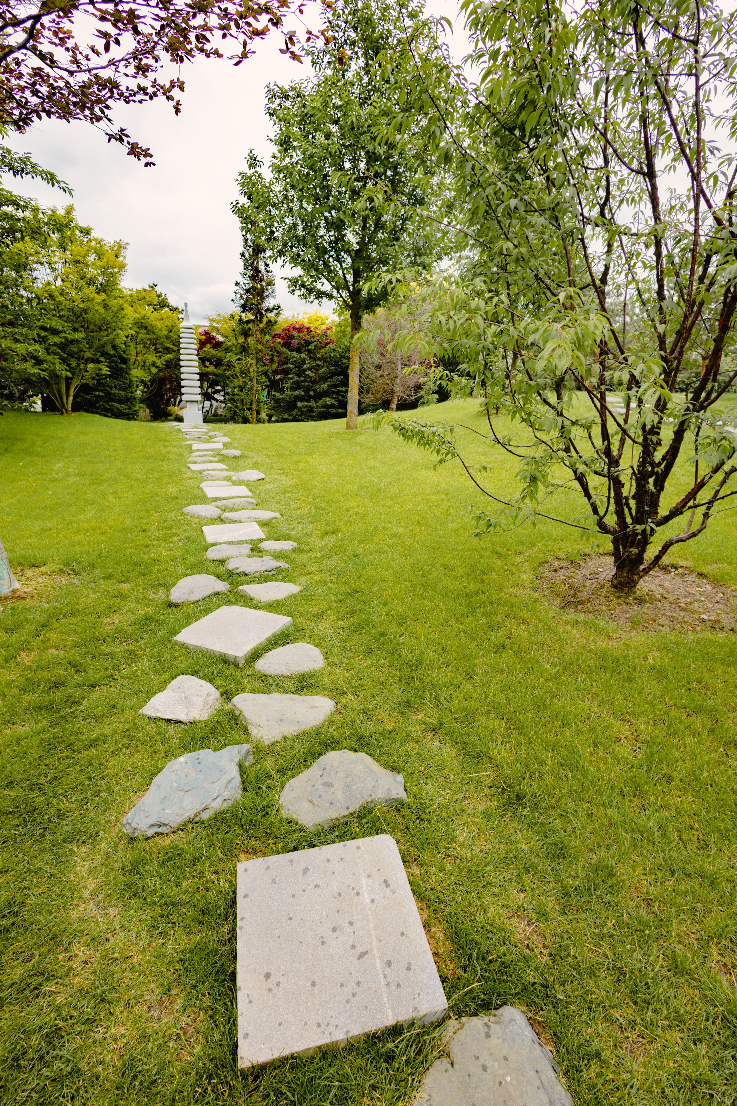 Японский сад в Краснодаре. Профессиональный фотограф и видеооператор