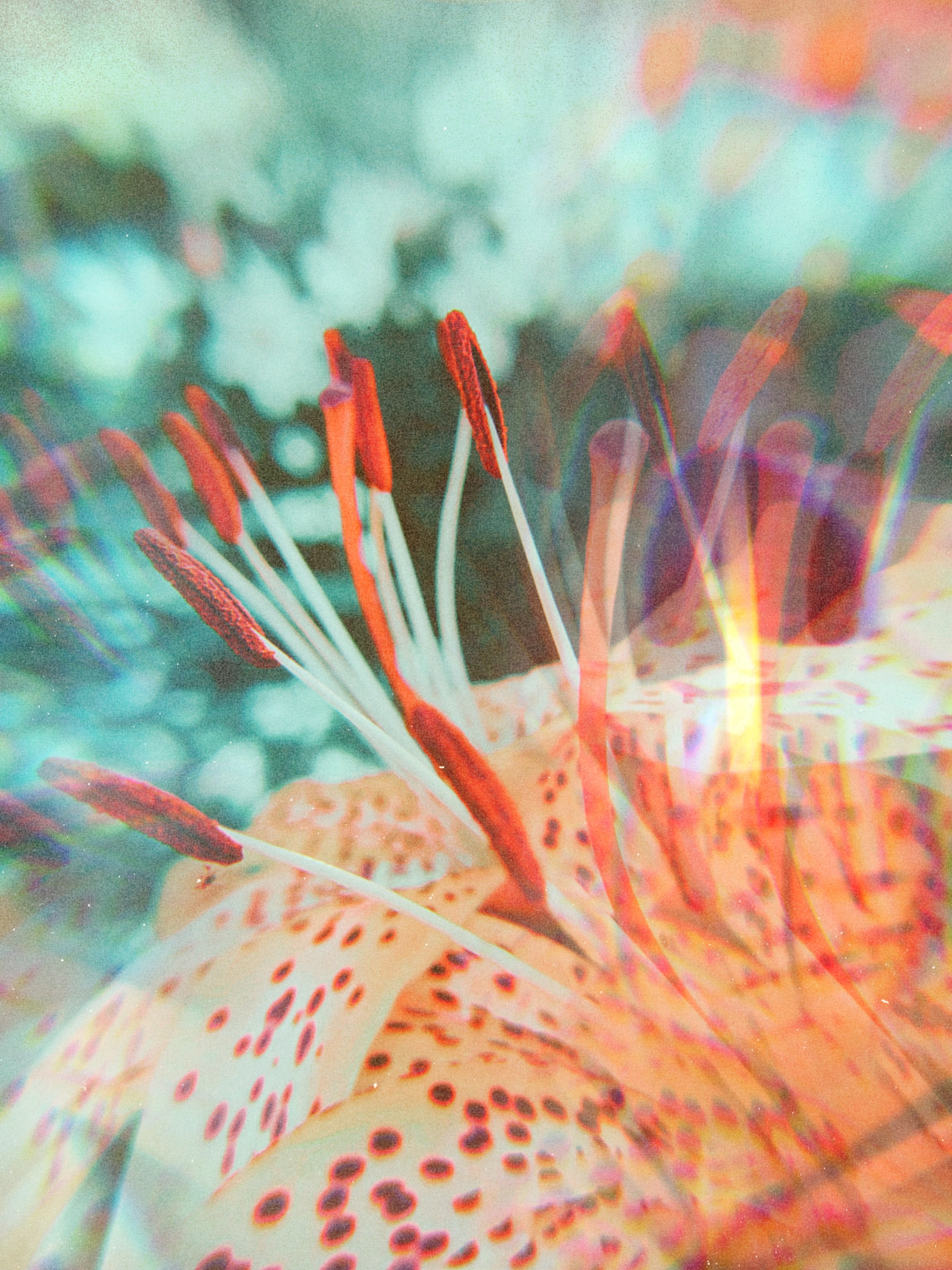 Street/travel. Sveti Sveta • визуальный артист Светлана Дубских