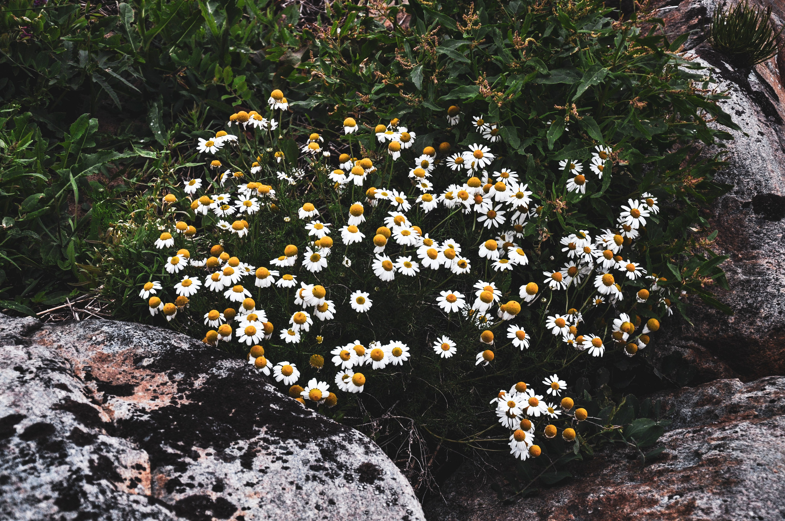 Фотографии с Белого моря. Авторские походы по Белому морю