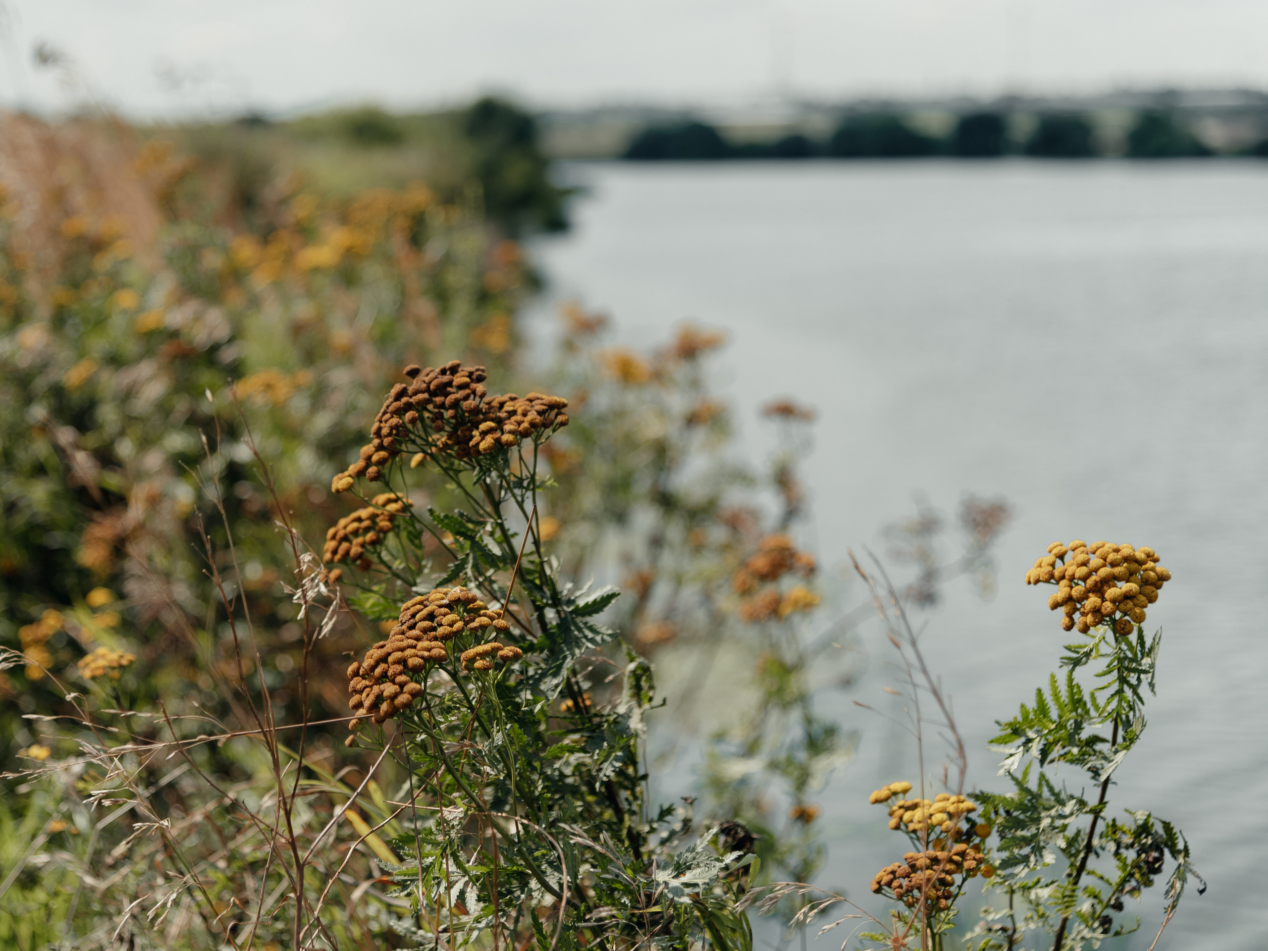 Plogging — добрый проект. Фотограф Москва