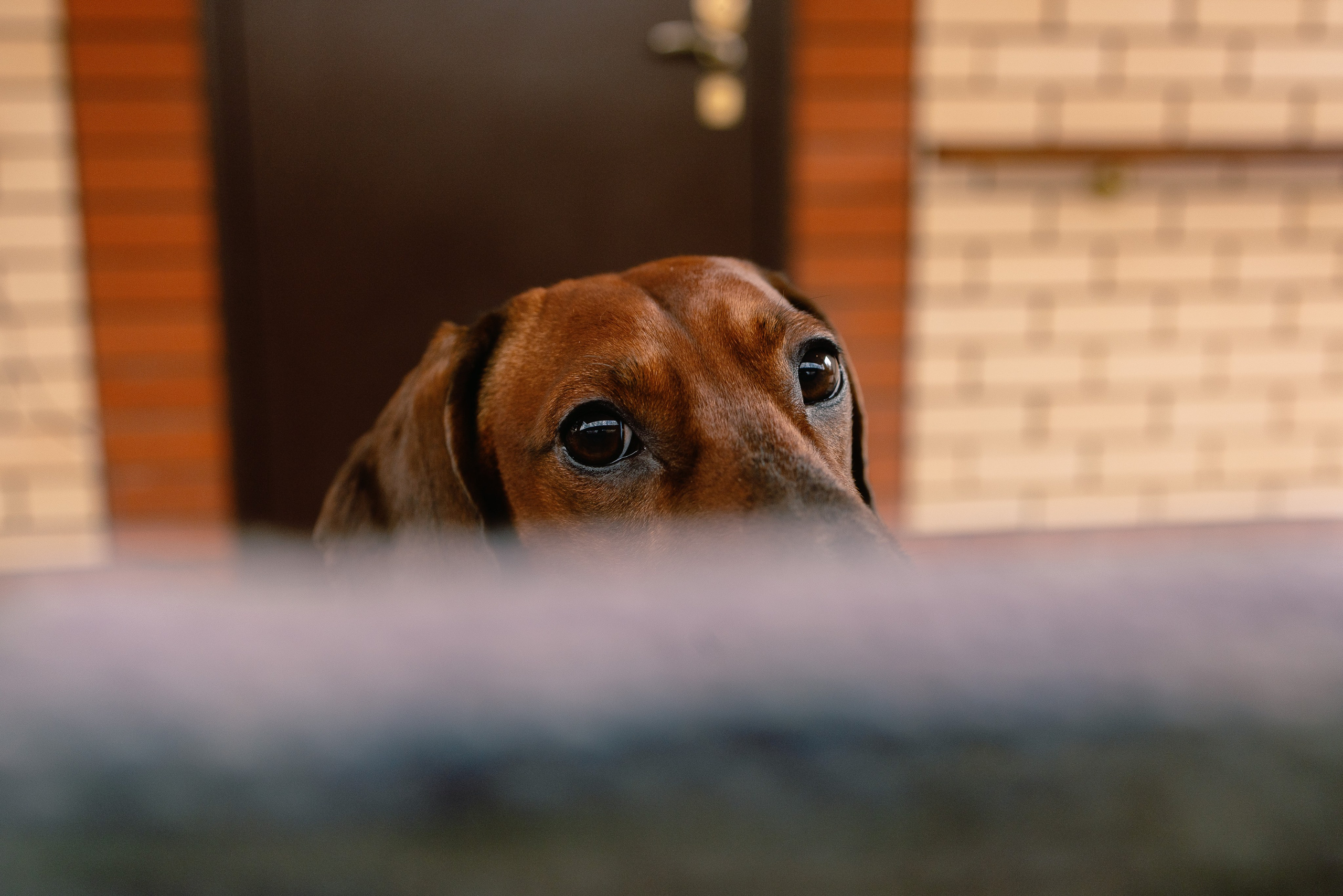 F.A.Q. Фотограф и психолог Мария Маринова