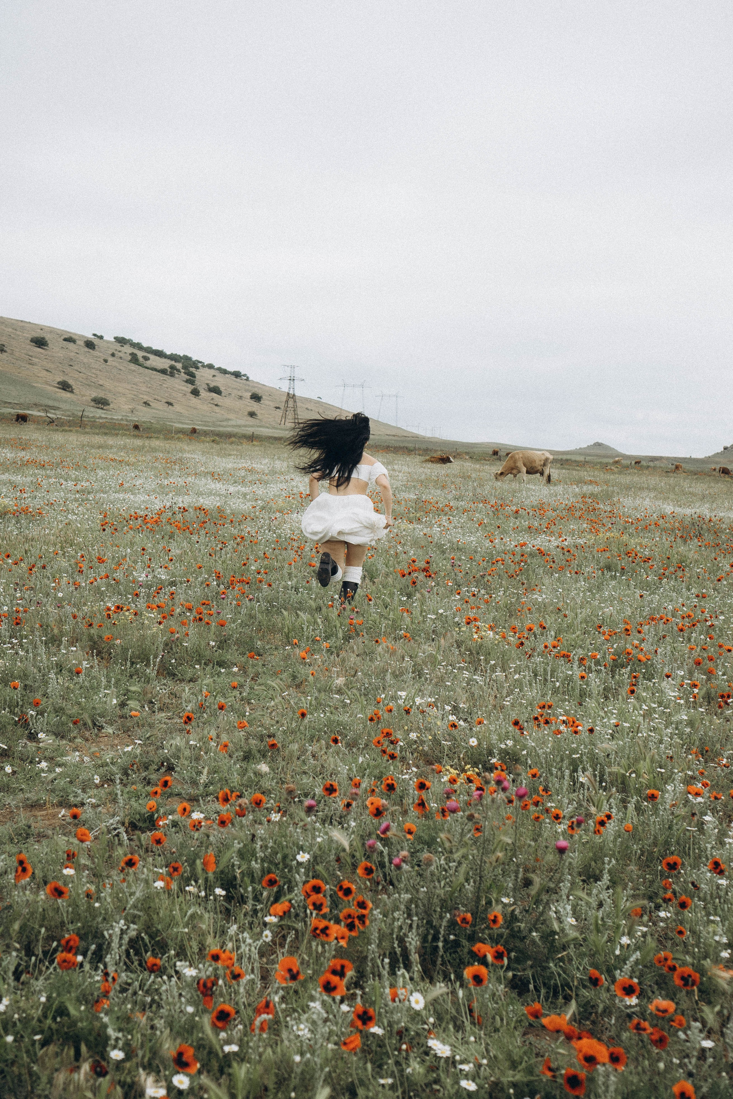 Маковое поле. Профессиональный фотограф, Санкт-Петербург — Виктория Богомолова