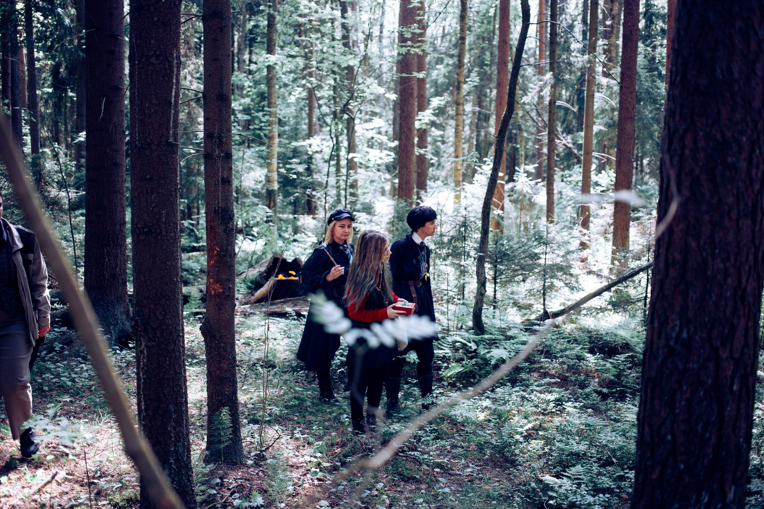 Запретный лес. Репортажный фотограф Анастасия Головко