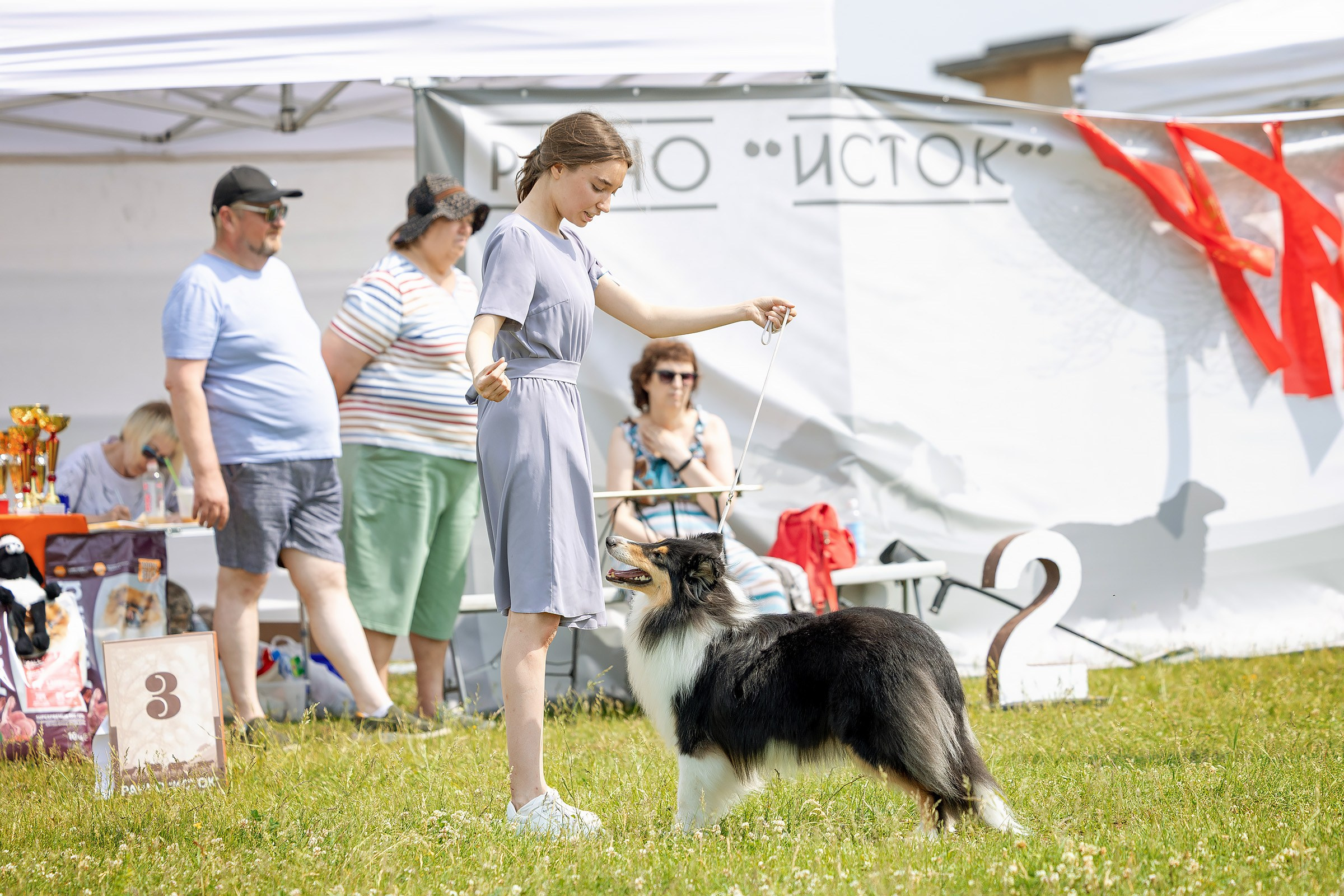 12 июня 2025, Выставка РКФ, Пермский край. Htykk_photo