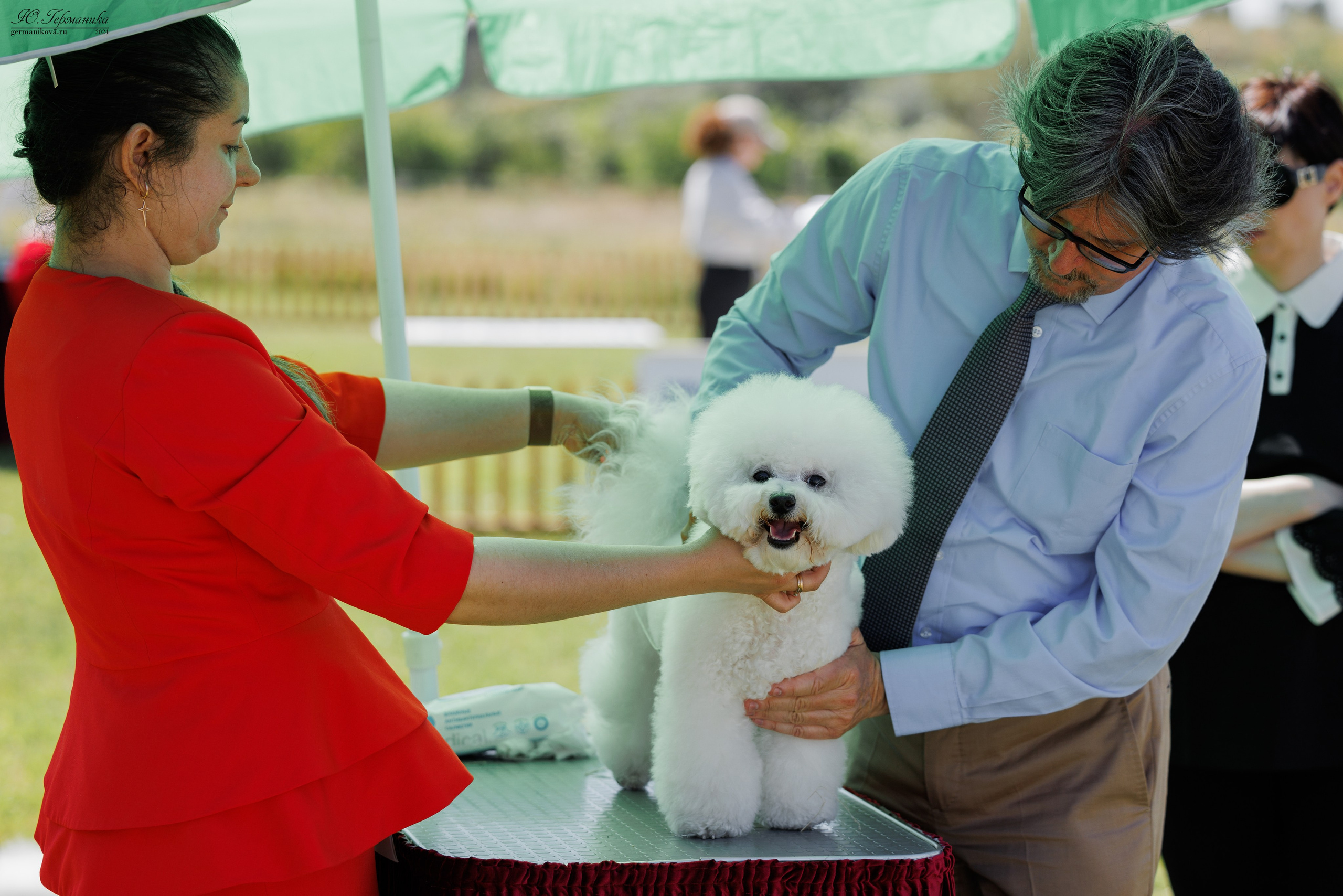 Ереван 3-5.06.2024. Фотограф-анималист Юлия Германика