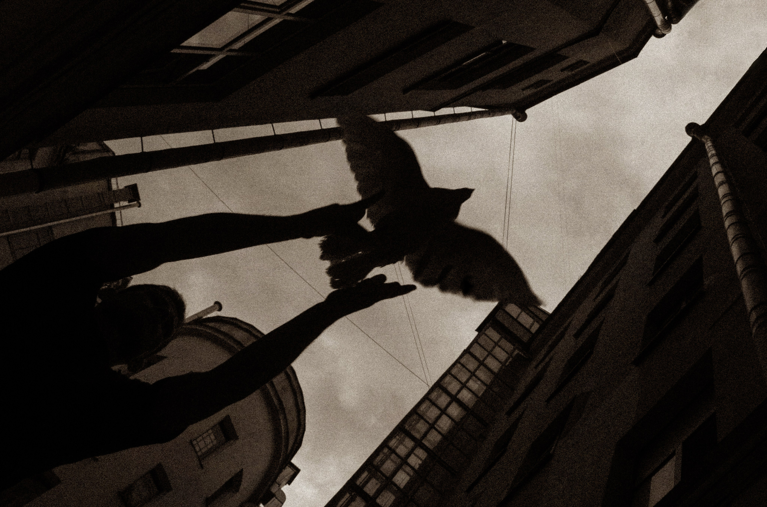 ПОРТРЕТ. Петербургский фотограф Елизавета Мордвина-Щодро