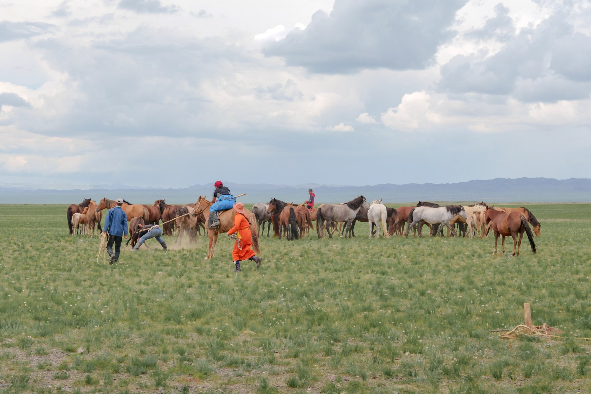A group of nomads helps to keep the foal during its Taming