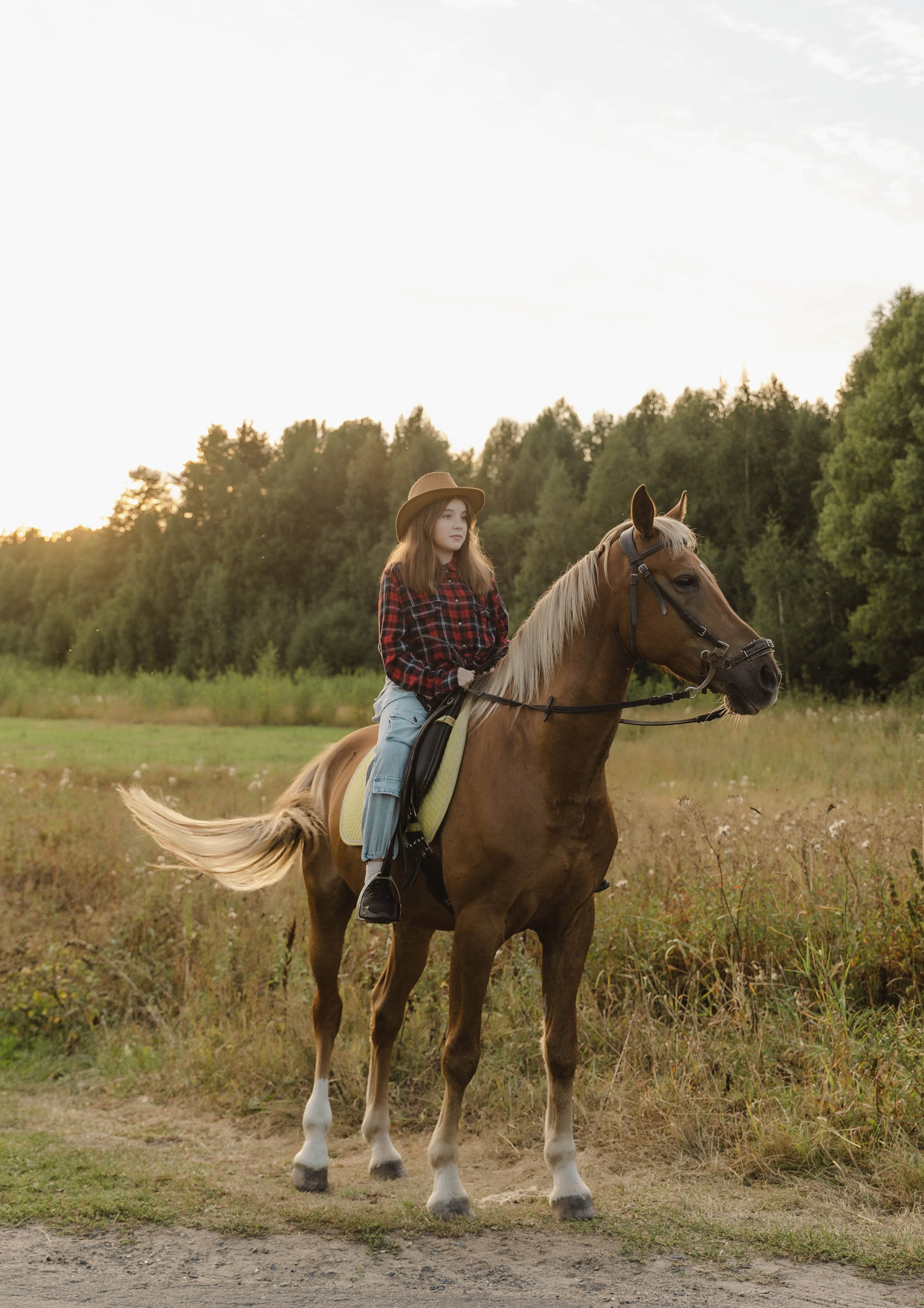 Тёплый вечер лета. Свадебный и семейный фотограф в Карелии