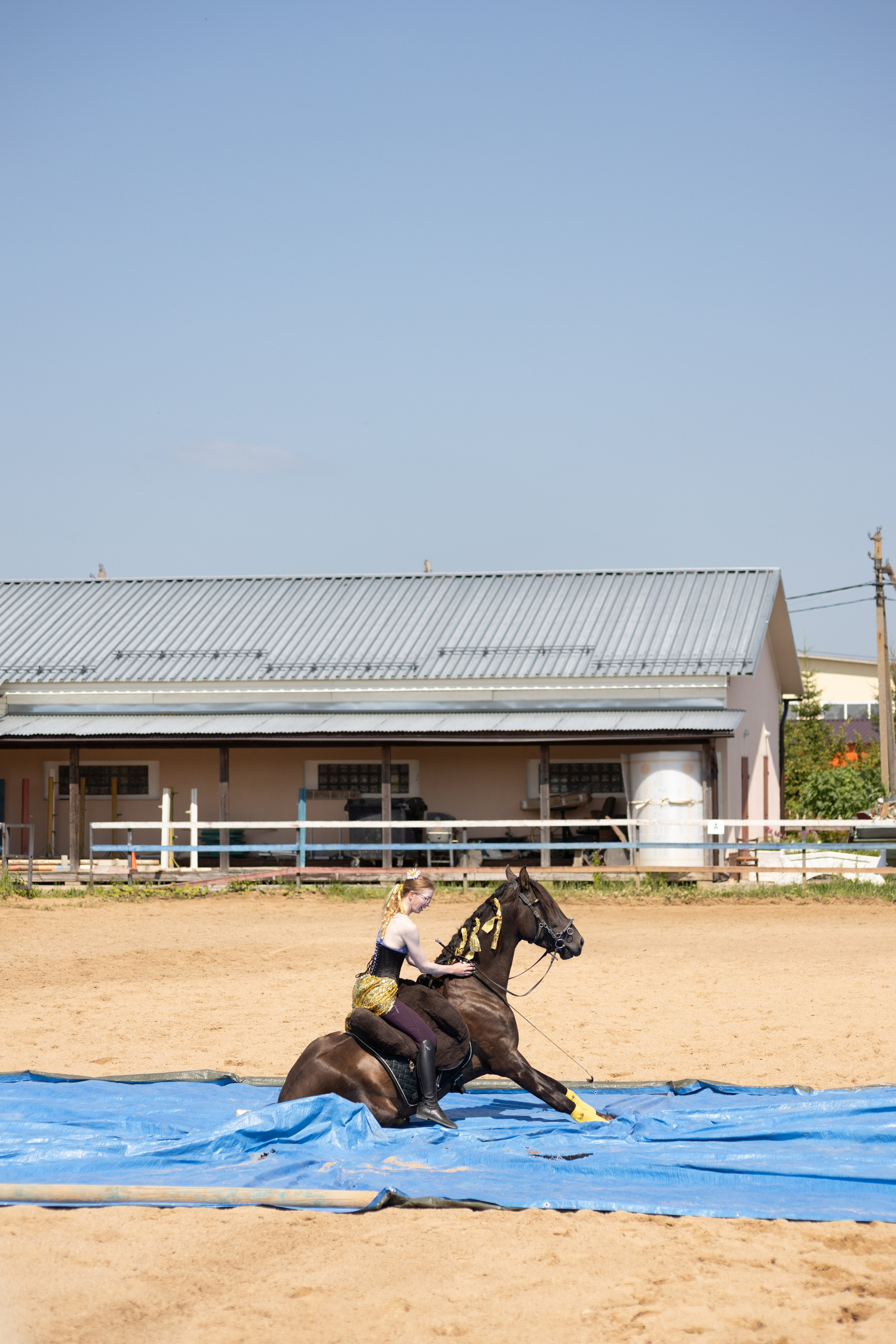 Конюшня. Фотограф в Москве и Истре