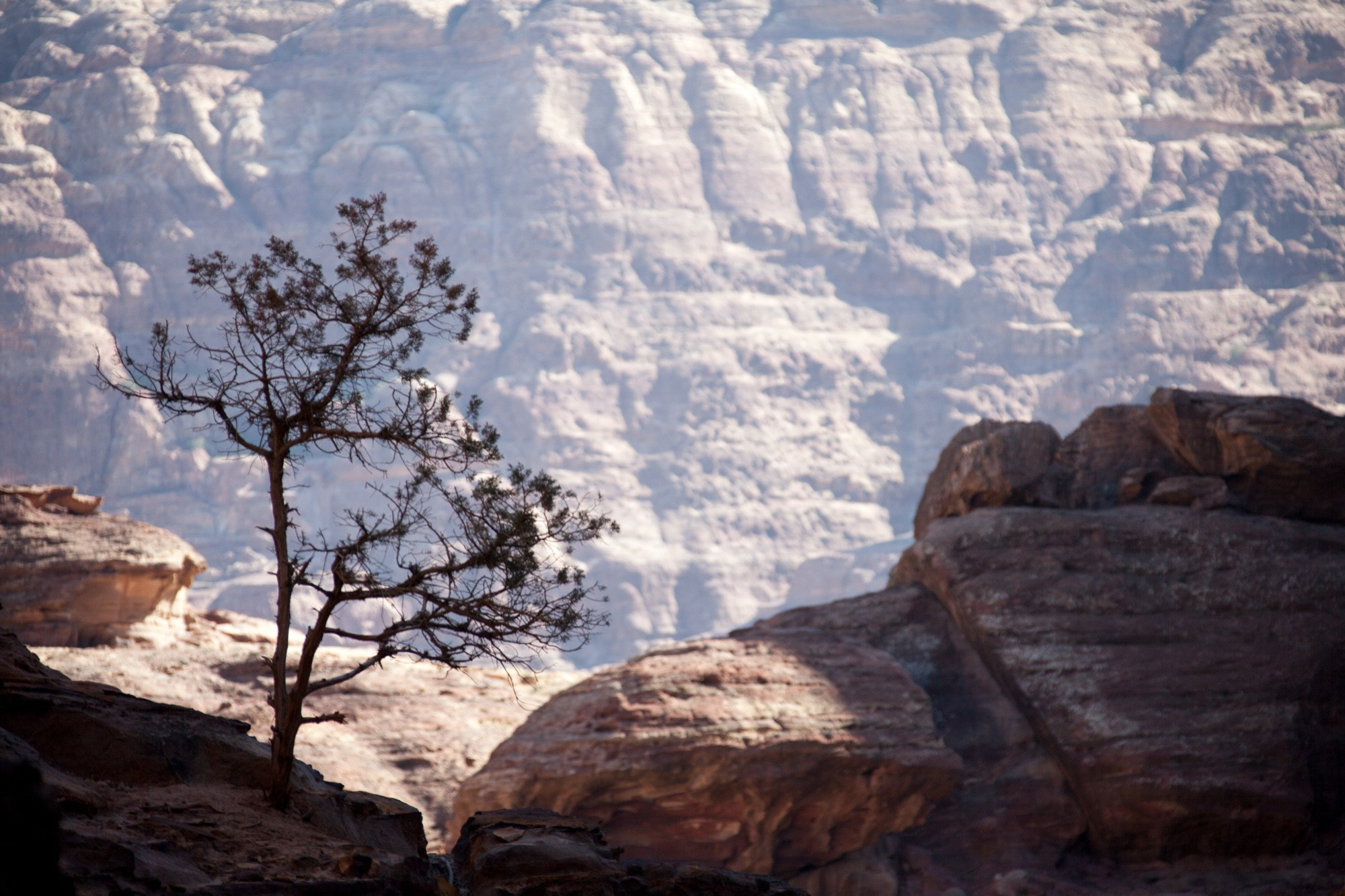 Иордания. Фотограф Алексей Скоробогатько