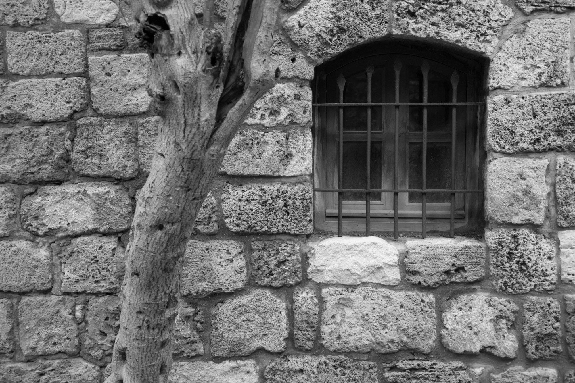 Ливан. Фотограф Алексей Скоробогатько