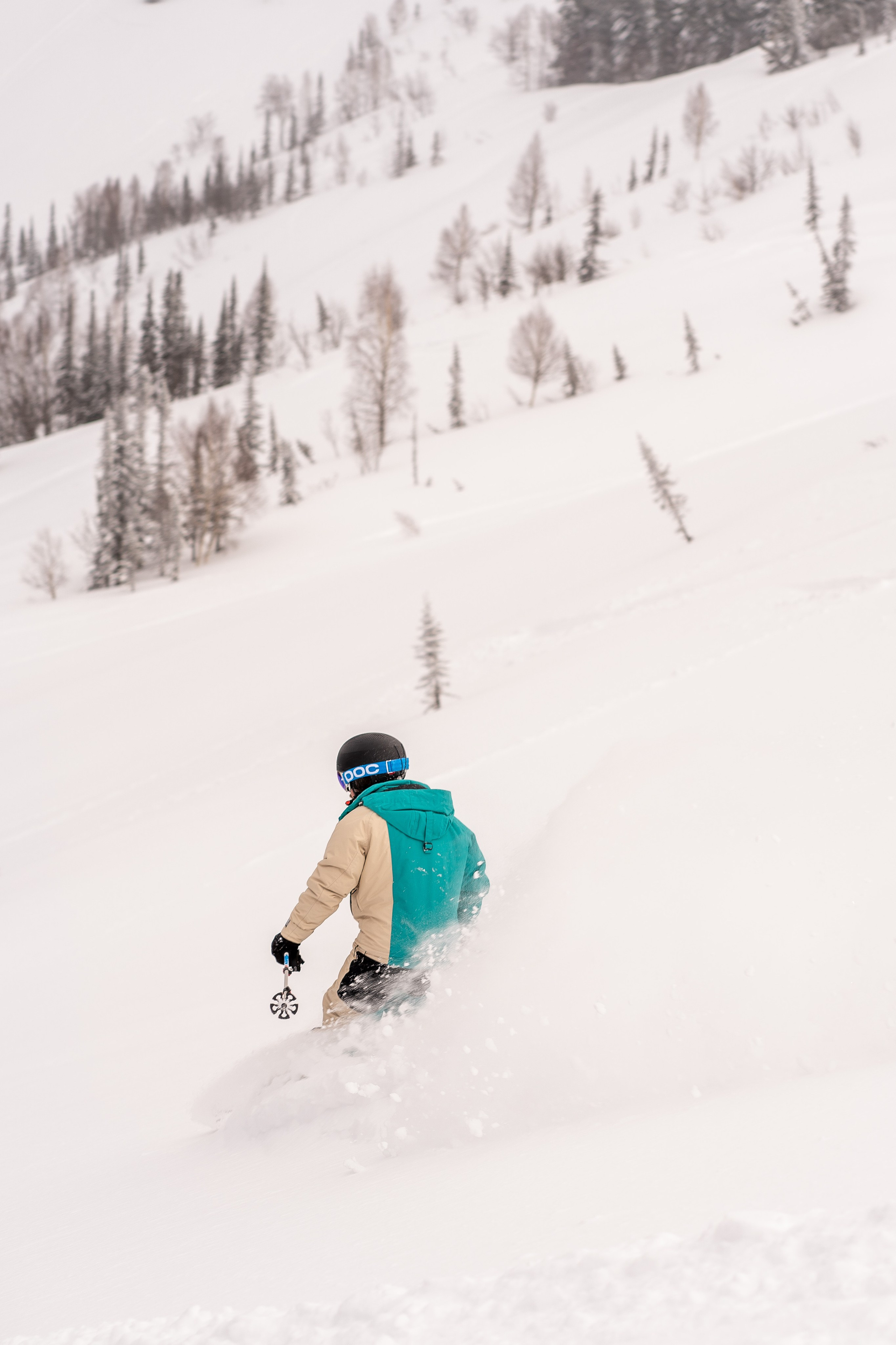 Фрирайд. Анастасия Паршукова — фотограф Шерегеш Новосибирск
