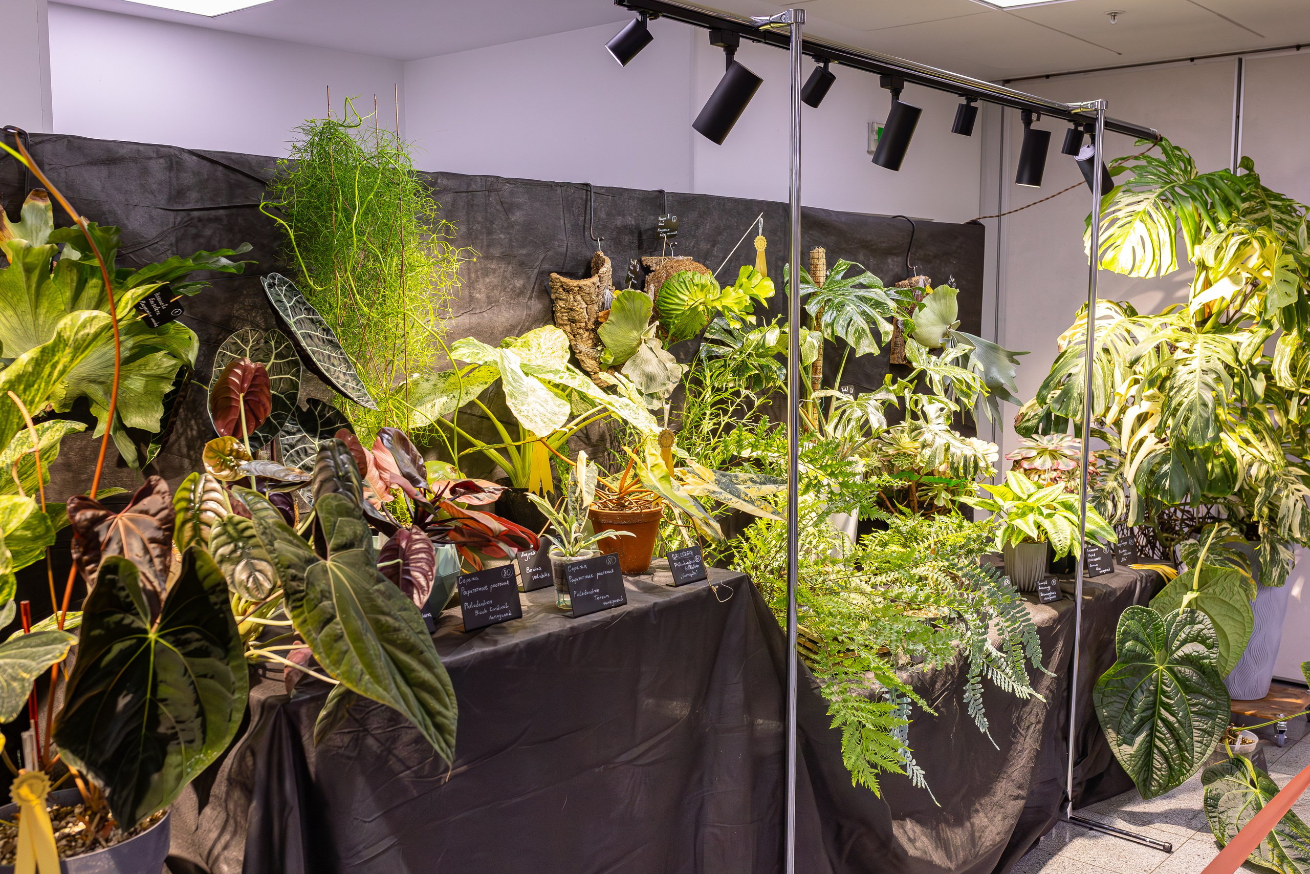 Монстериум 11–12 октября. Александра Куликова фотограф, Москва